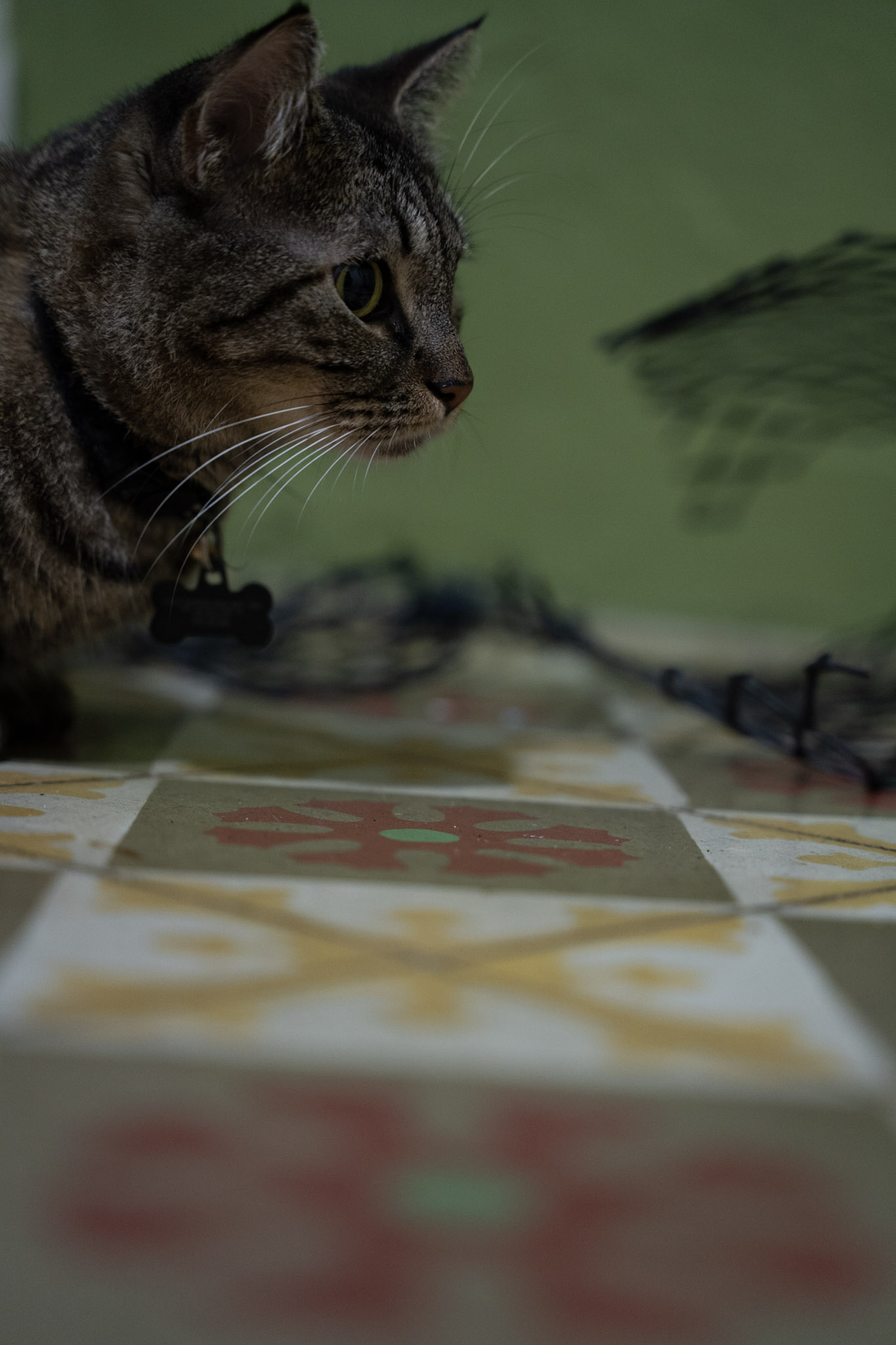 2021-12-20_Santa_Rita - foto 46