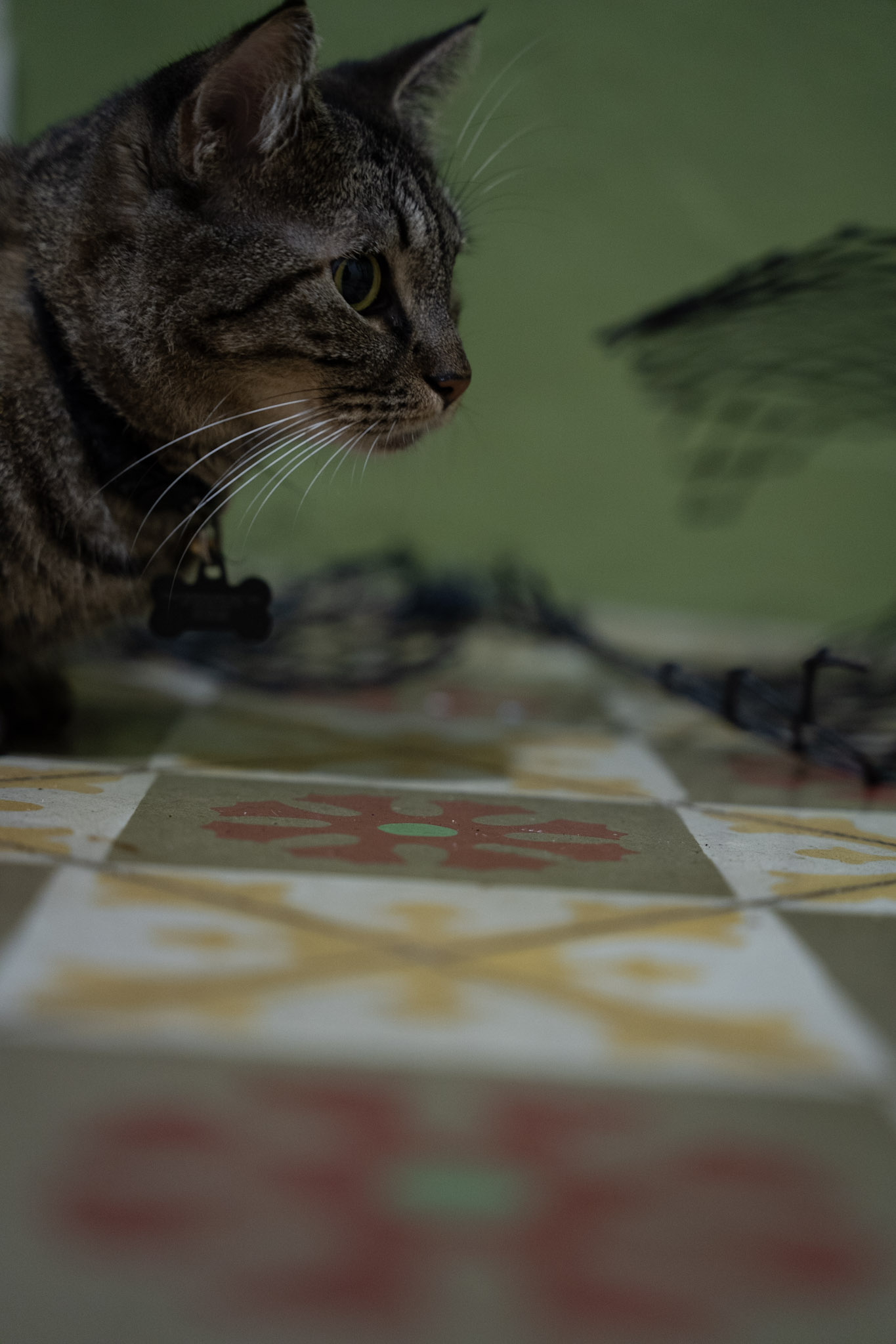 2021-12-20_Santa_Rita - foto 47