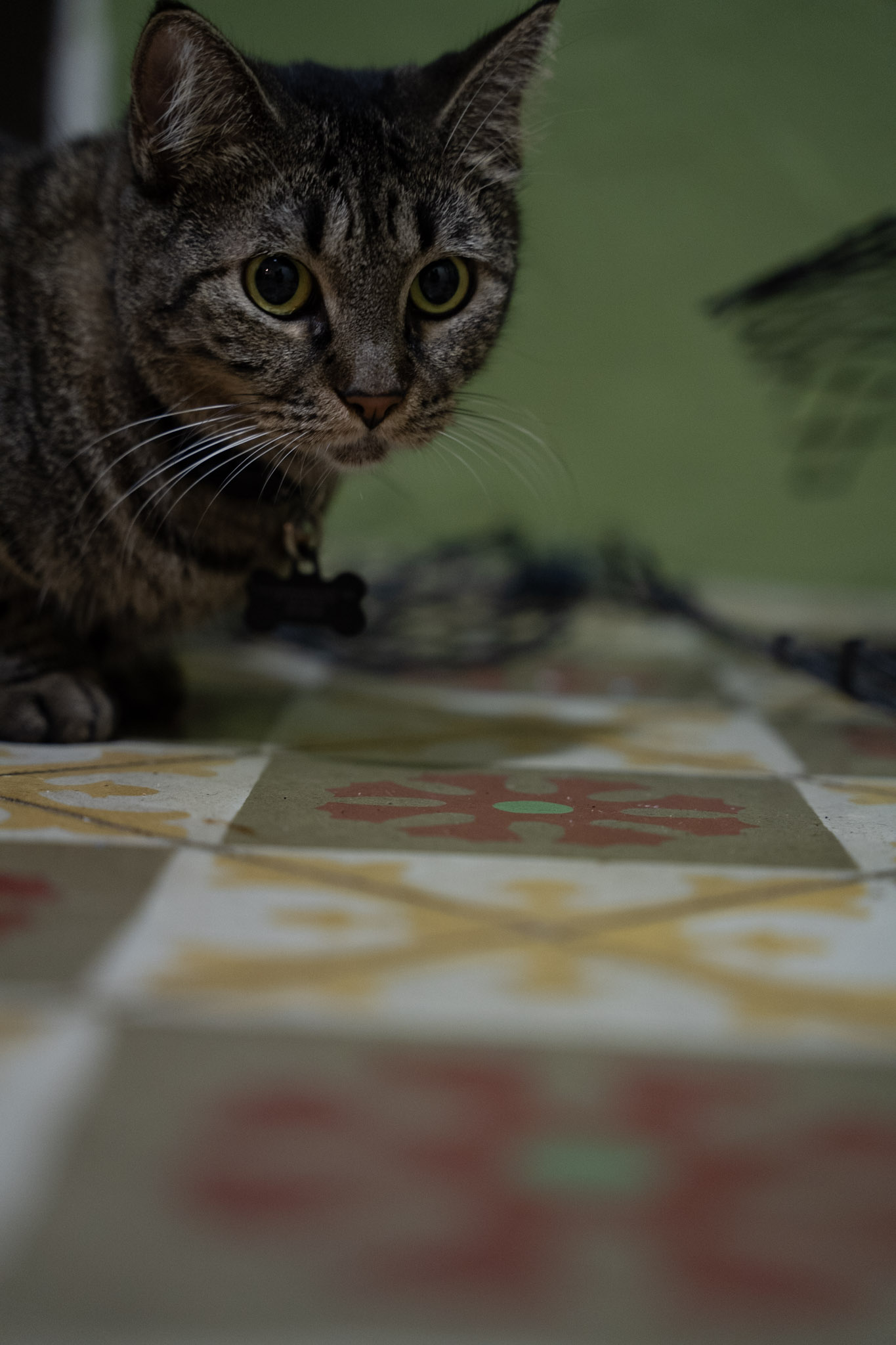 2021-12-20_Santa_Rita - foto 48