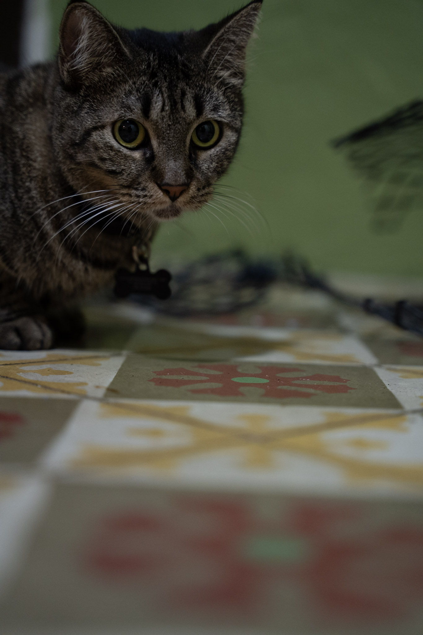 2021-12-20_Santa_Rita - foto 49