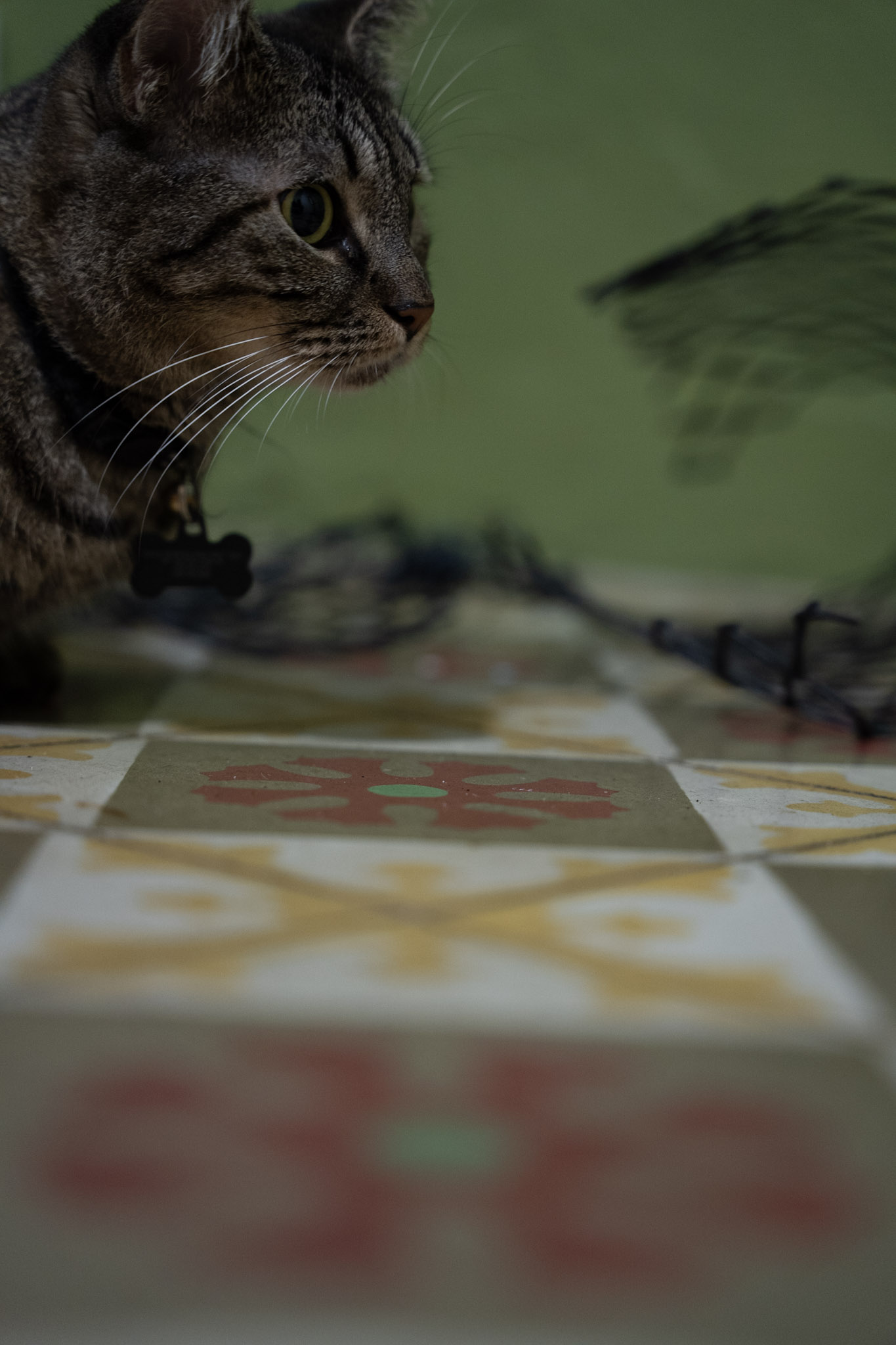 2021-12-20_Santa_Rita - foto 50