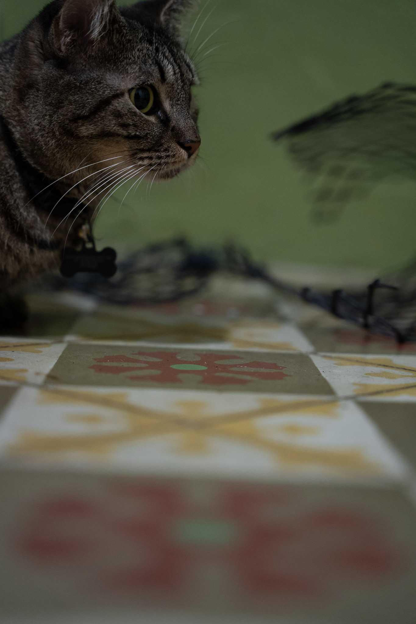 2021-12-20_Santa_Rita - foto 51