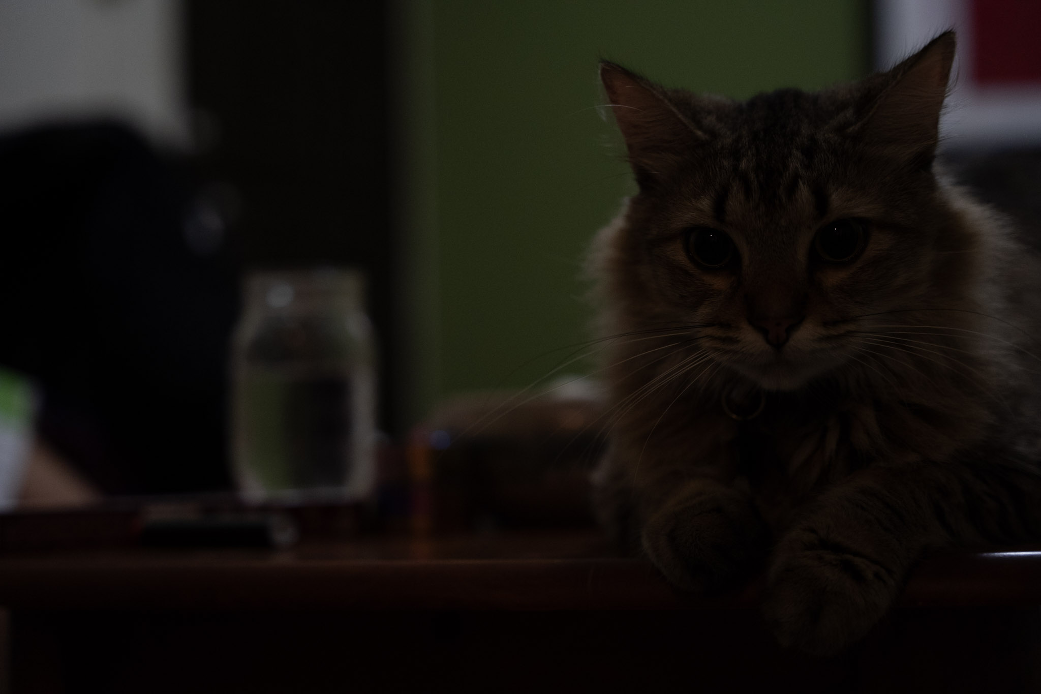 2021-12-20_Santa_Rita - foto 54