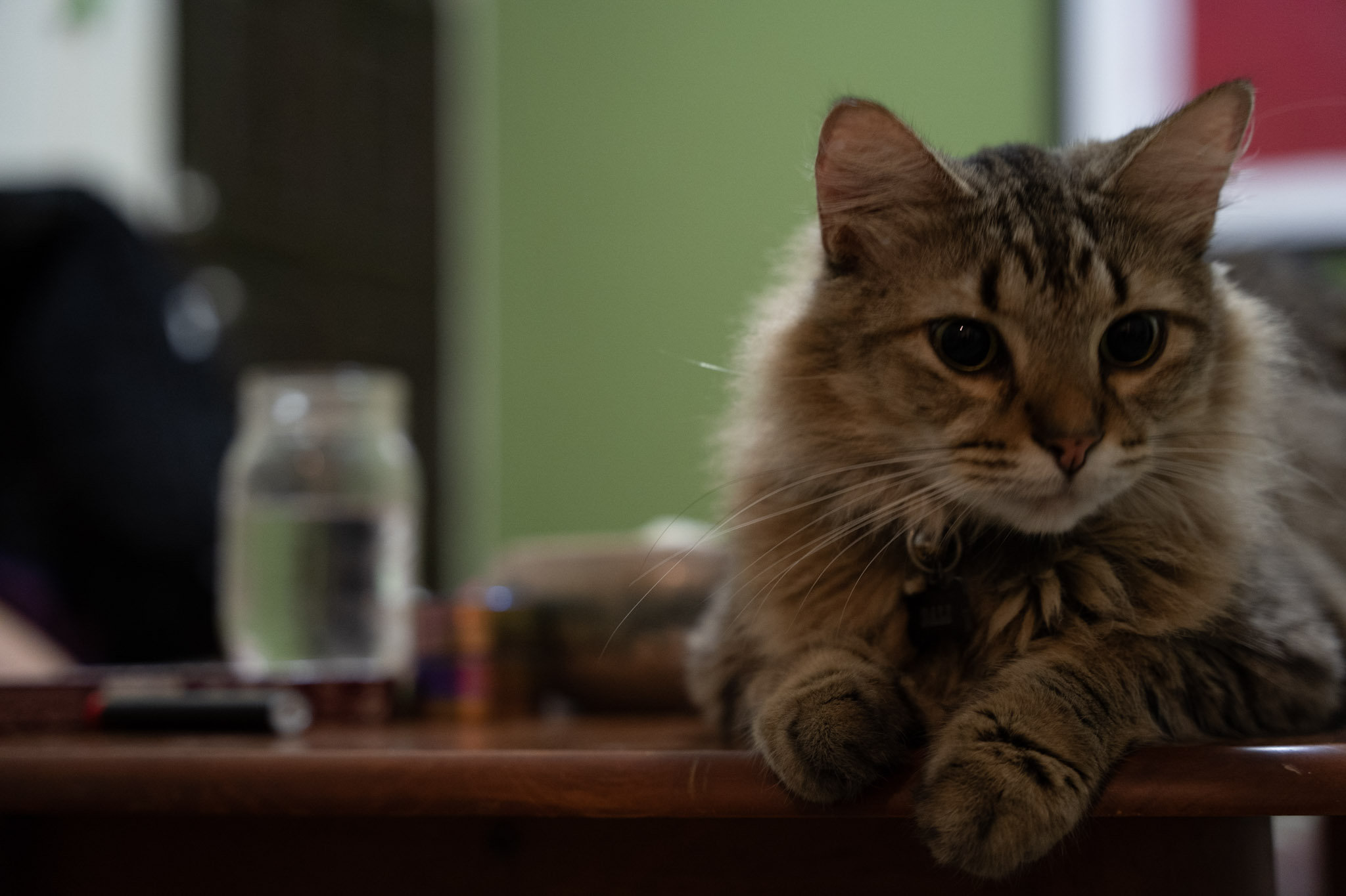 2021-12-20_Santa_Rita - foto 56