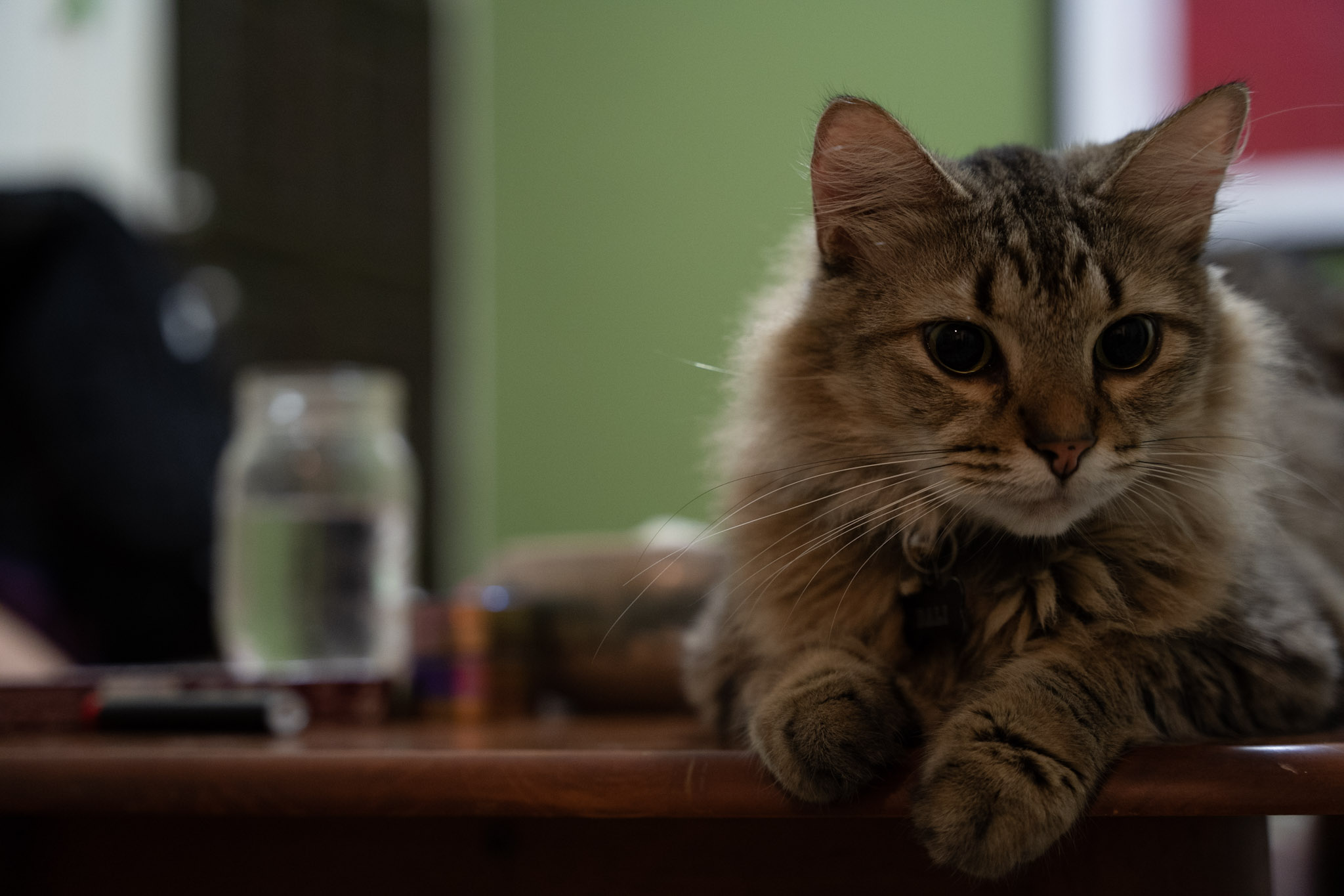 2021-12-20_Santa_Rita - foto 57