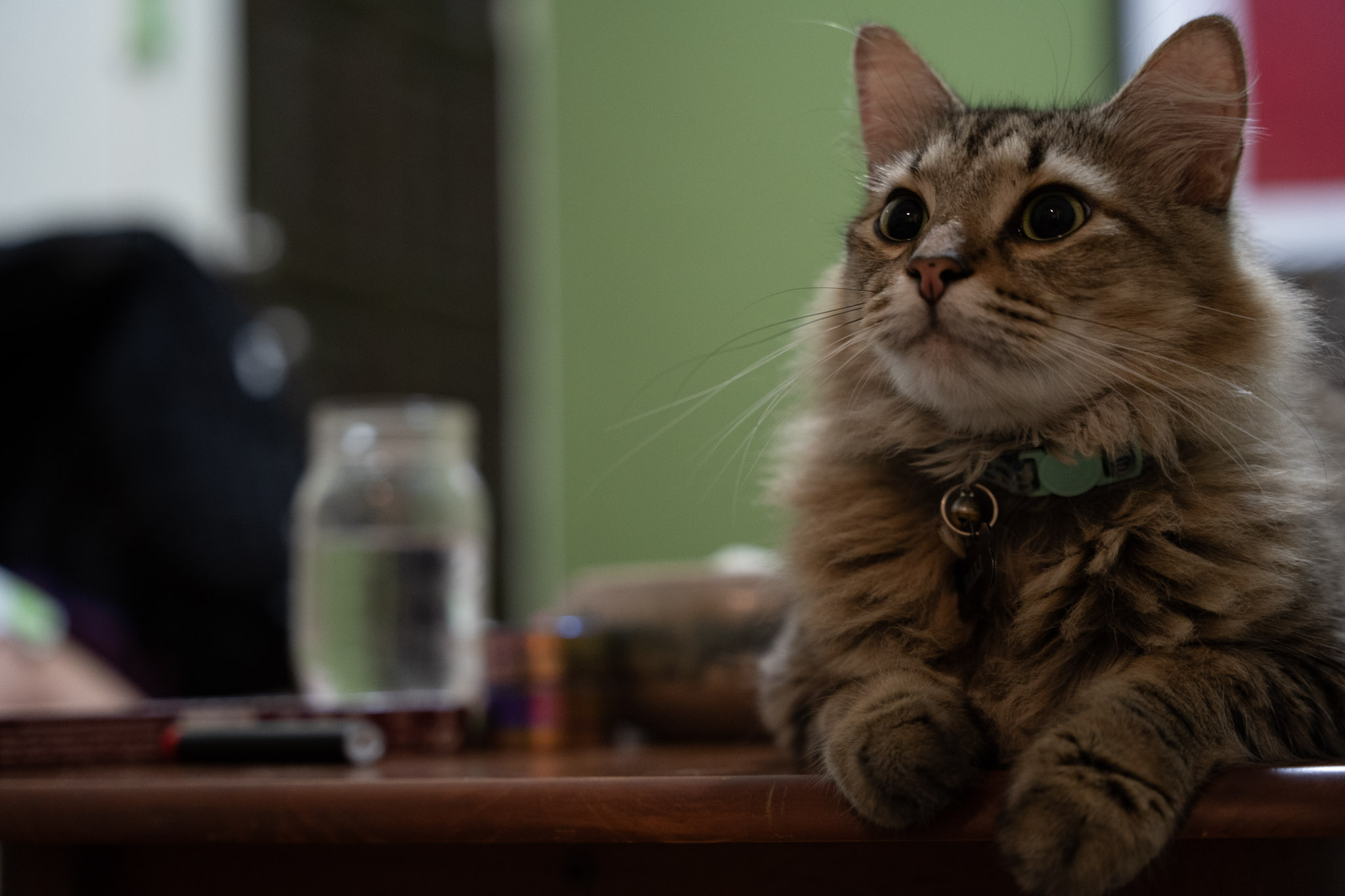 2021-12-20_Santa_Rita - foto 58