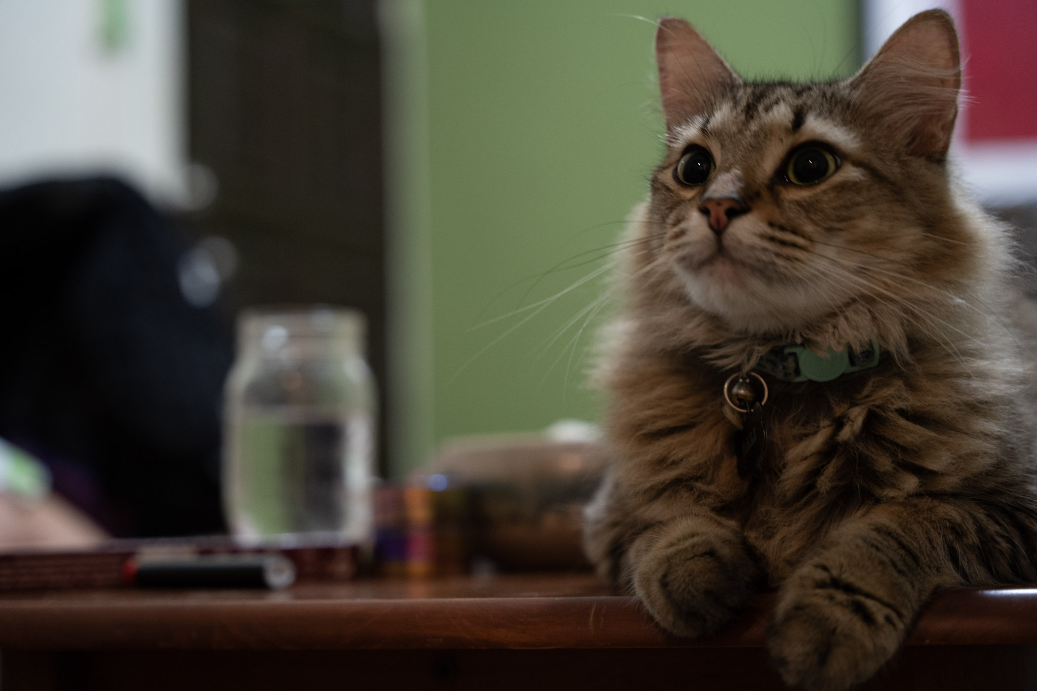 2021-12-20_Santa_Rita - foto 59