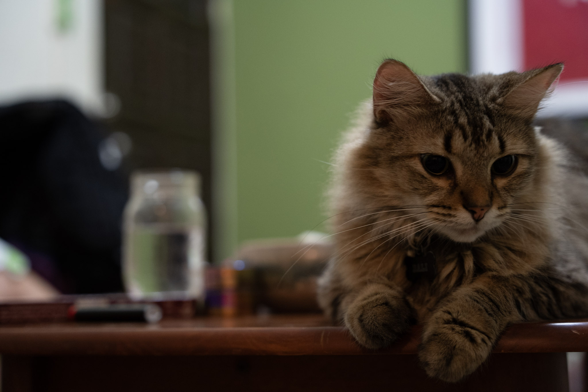 2021-12-20_Santa_Rita - foto 60