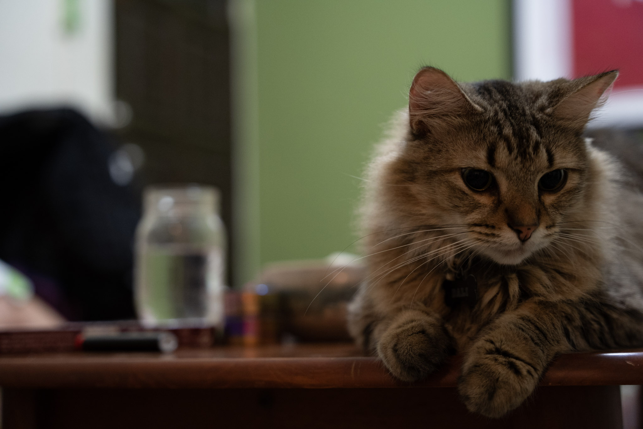 2021-12-20_Santa_Rita - foto 61