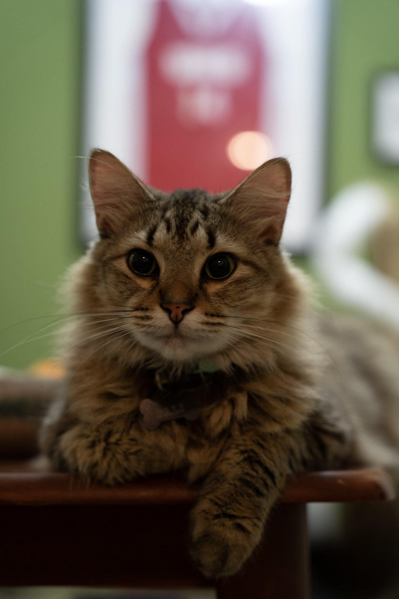 2021-12-20_Santa_Rita - foto 62