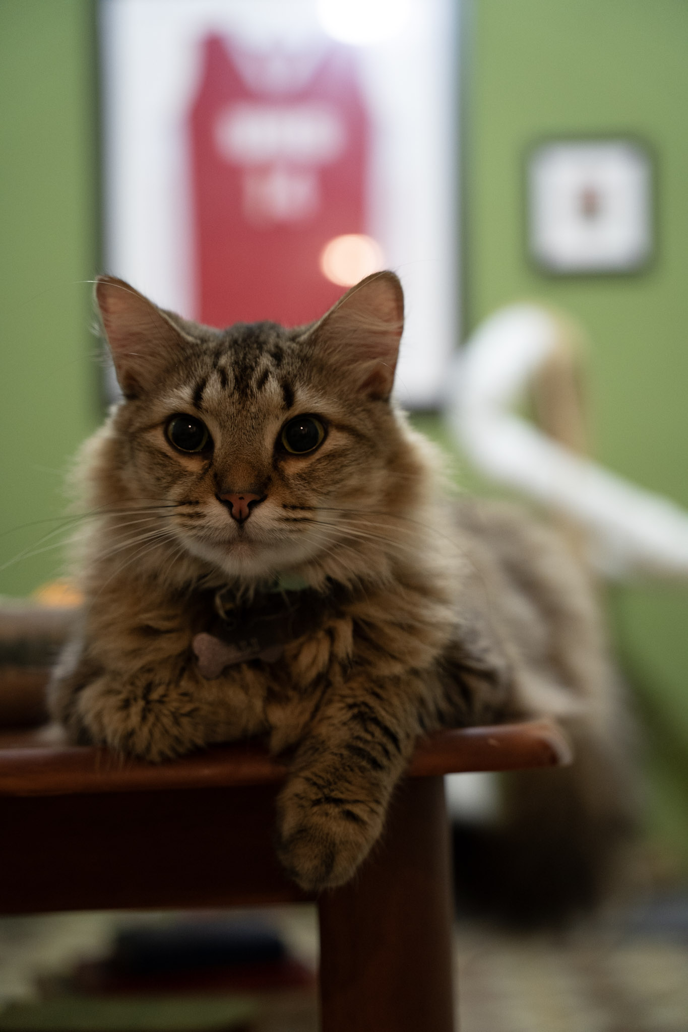 2021-12-20_Santa_Rita - foto 63