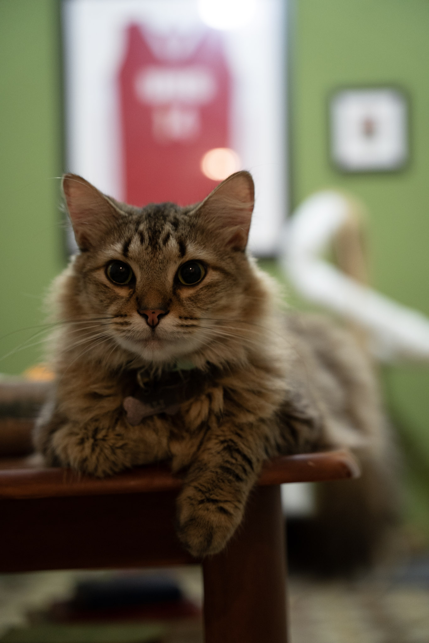 2021-12-20_Santa_Rita - foto 64