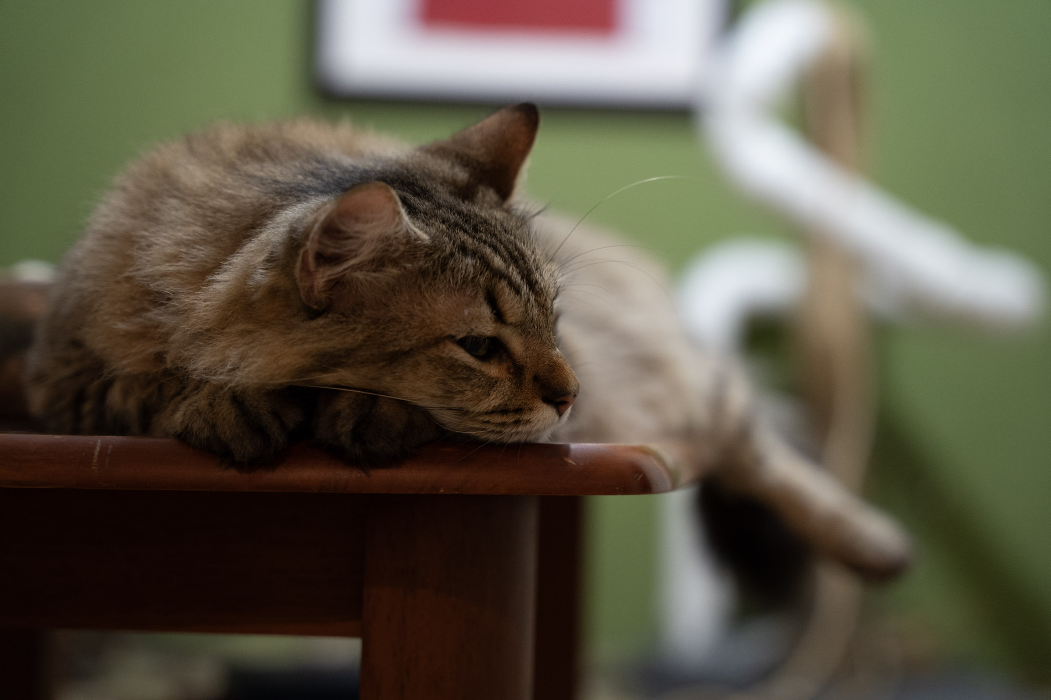 2021-12-20_Santa_Rita - foto 66