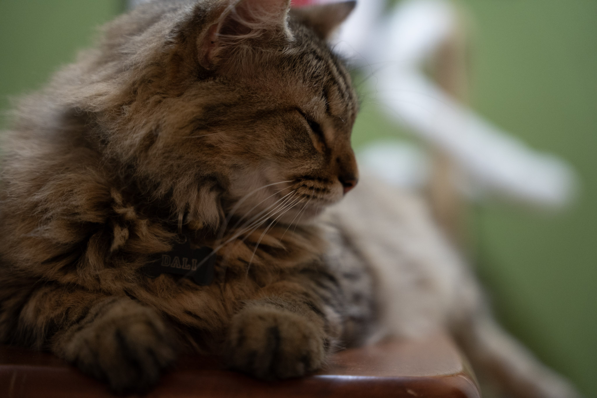 2021-12-20_Santa_Rita - foto 67