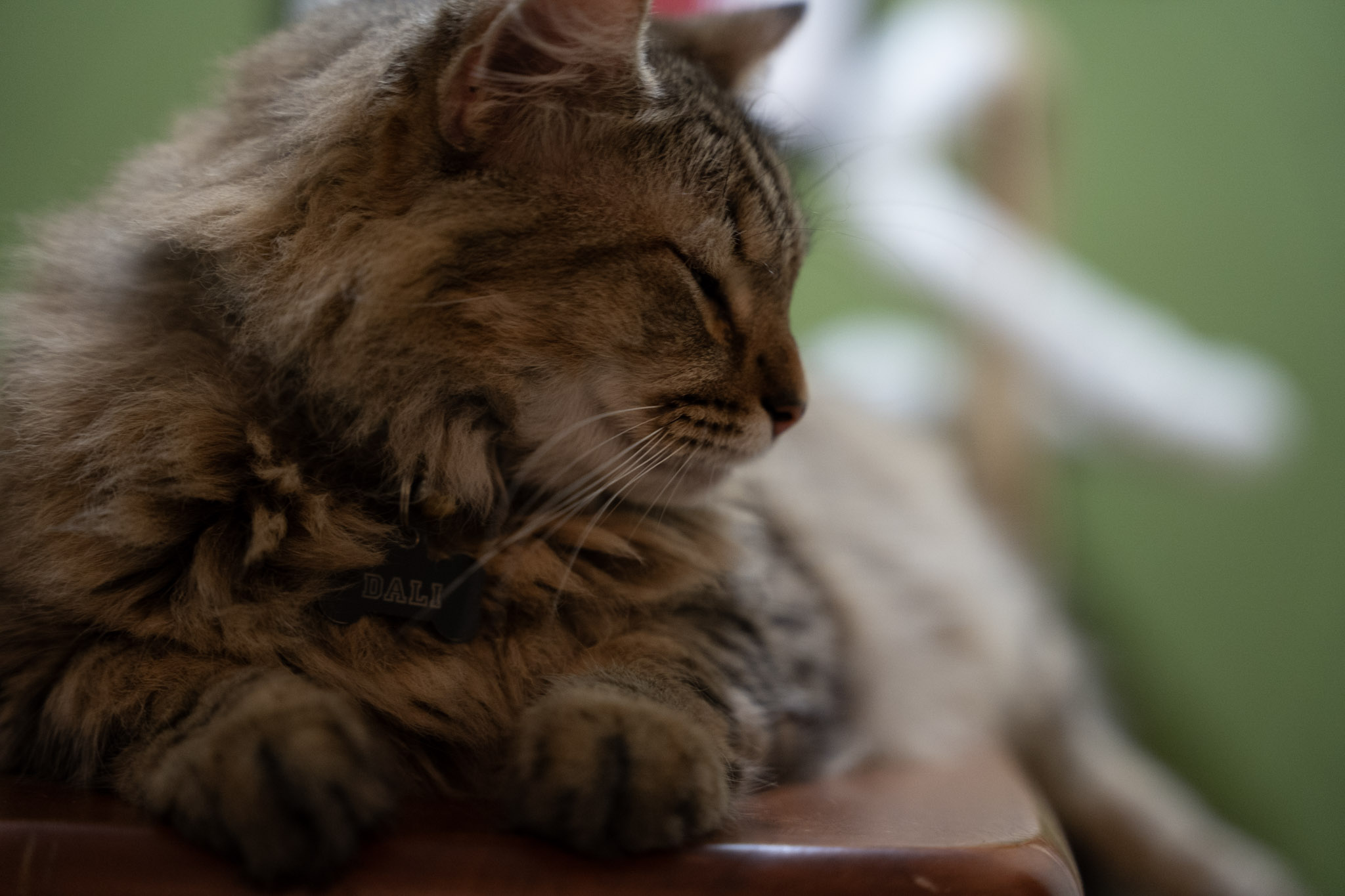 2021-12-20_Santa_Rita - foto 68