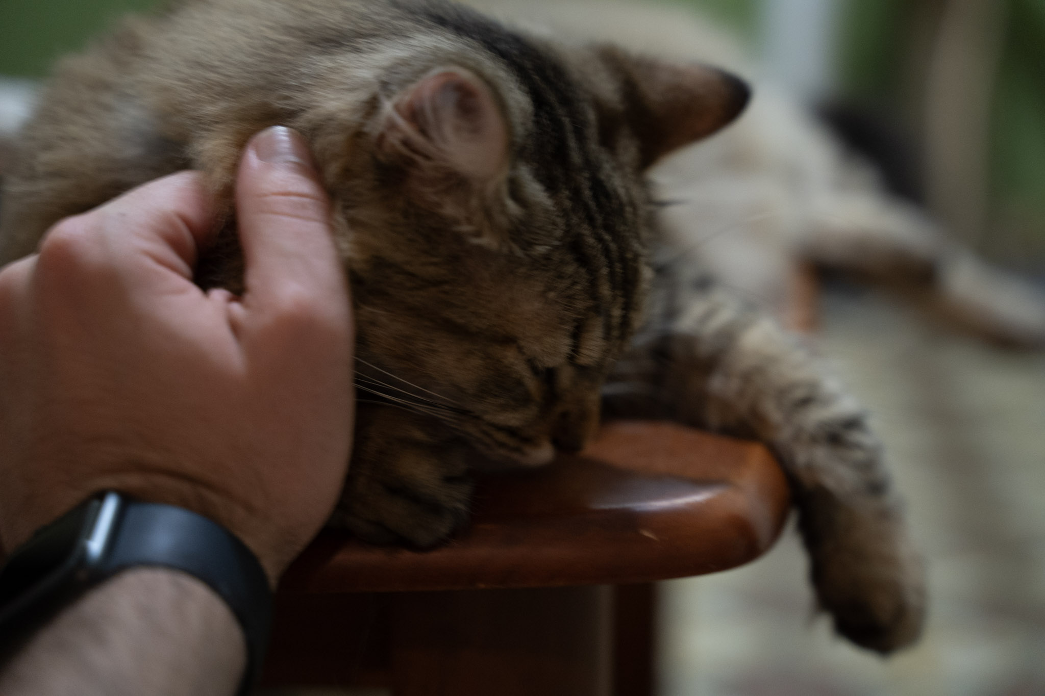 2021-12-20_Santa_Rita - foto 72