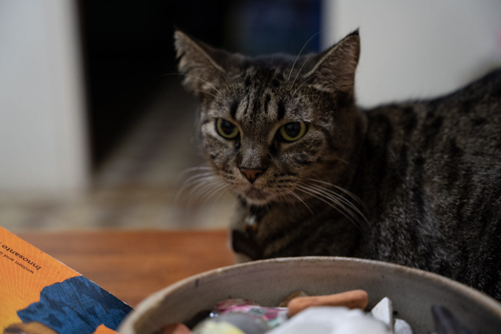 2021-12-20_Santa_Rita - foto 73