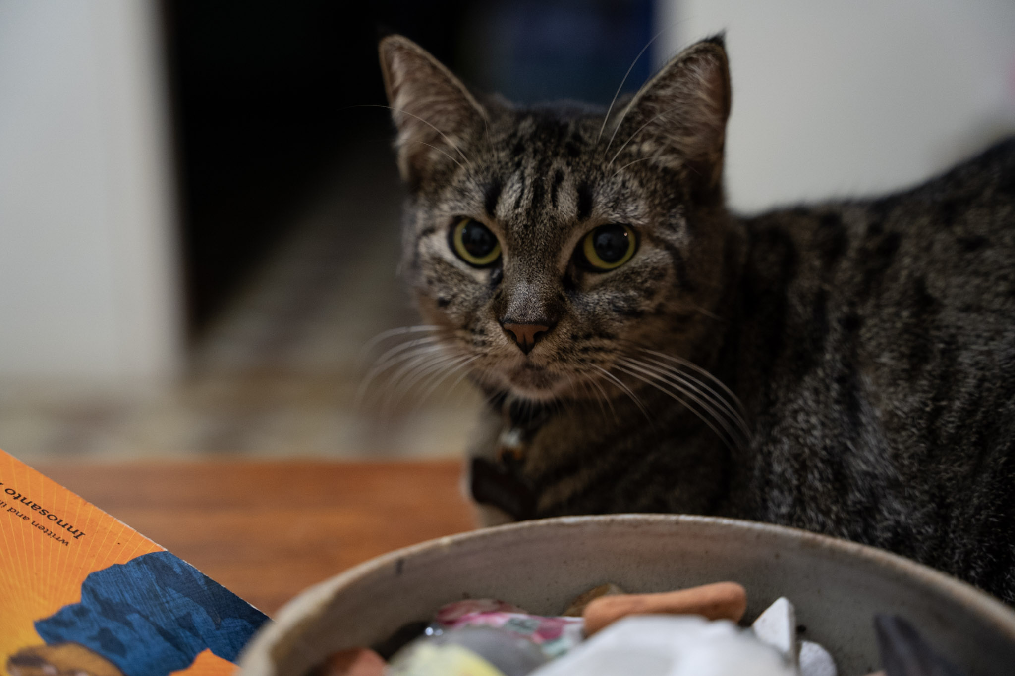 2021-12-20_Santa_Rita - foto 74