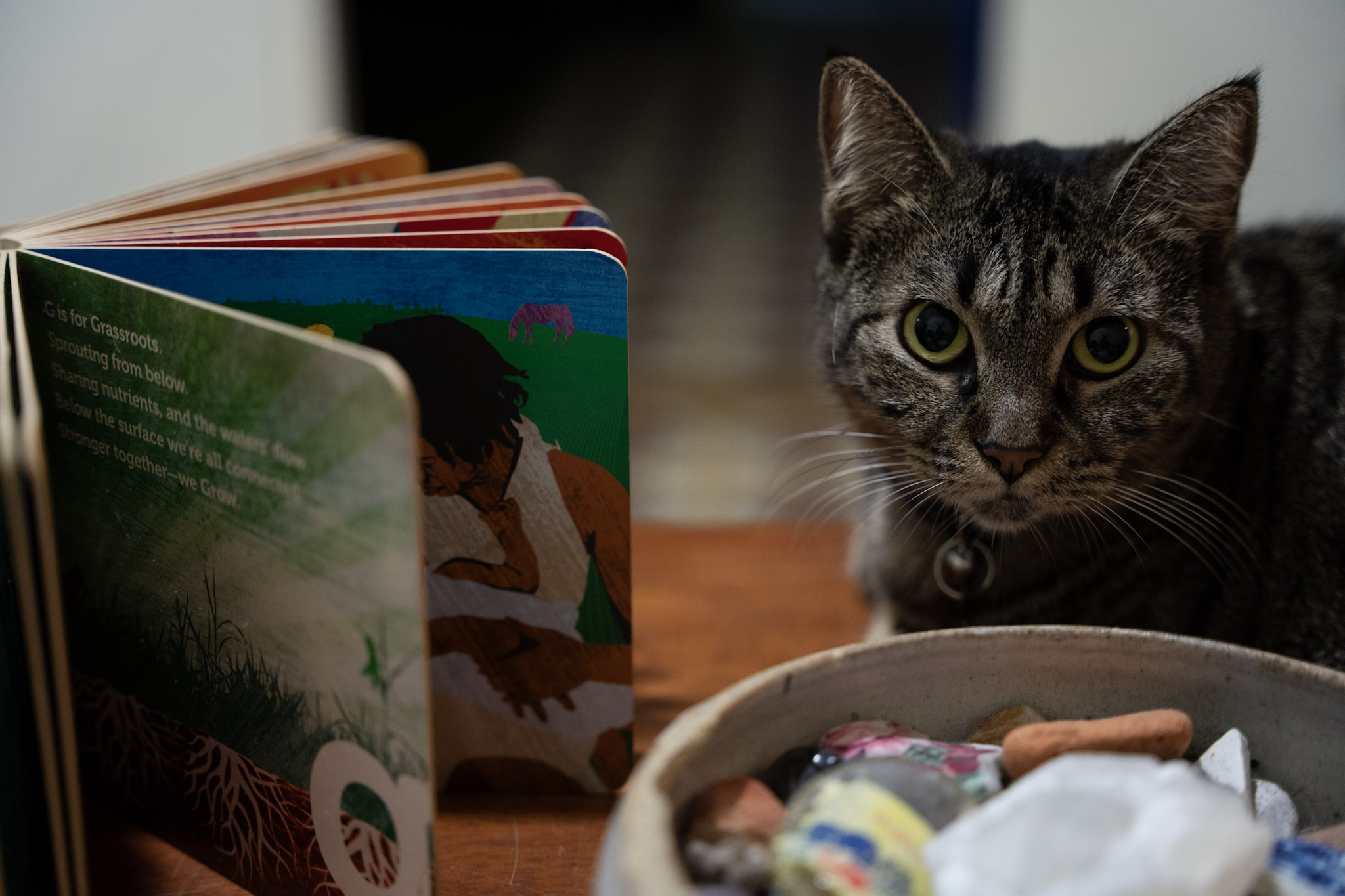 2021-12-20_Santa_Rita - foto 75