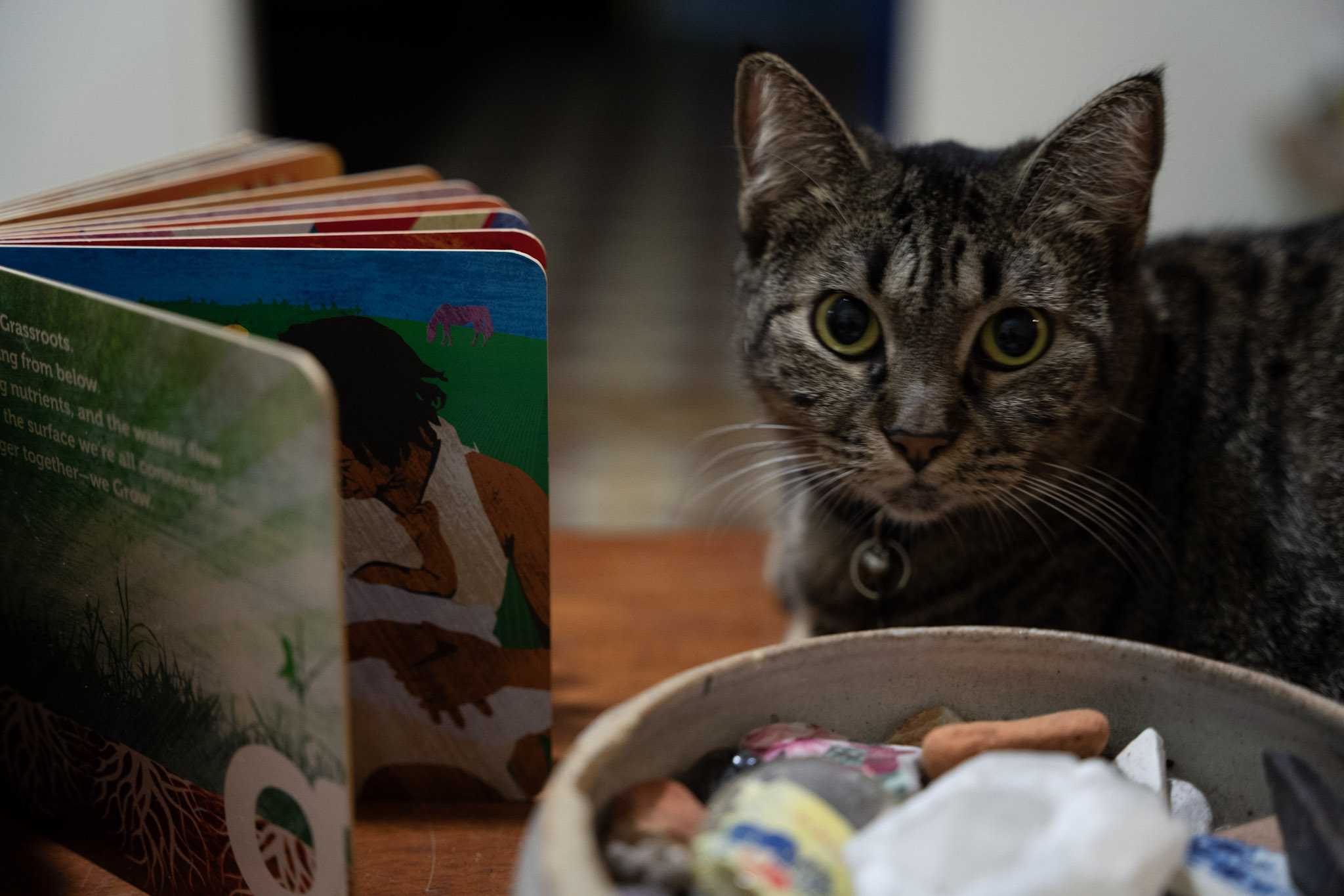 2021-12-20_Santa_Rita - foto 77