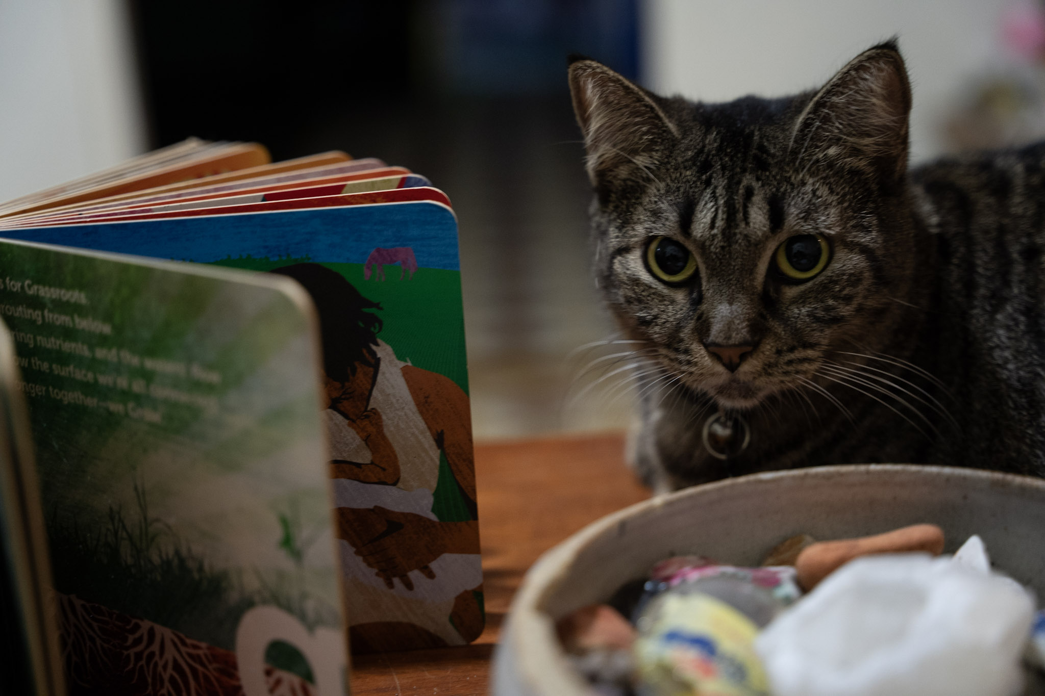 2021-12-20_Santa_Rita - foto 78