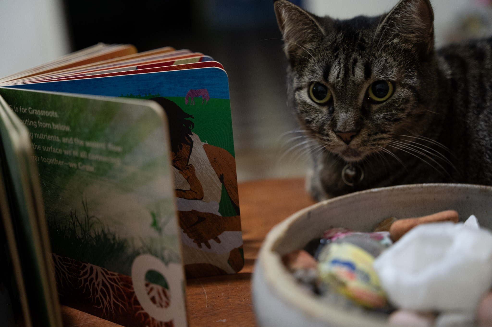 2021-12-20_Santa_Rita - foto 79