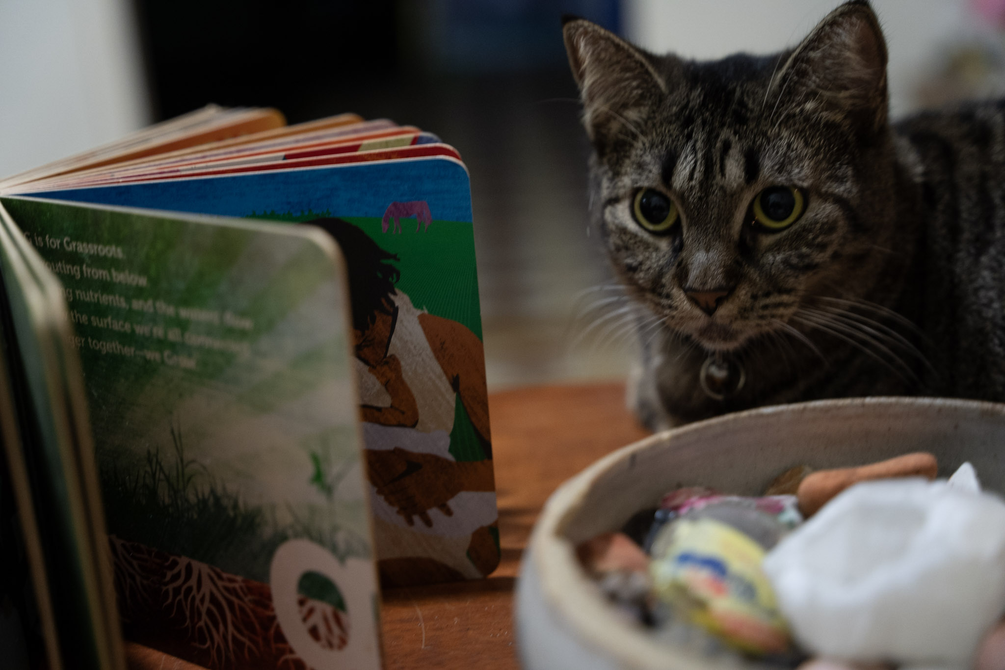 2021-12-20_Santa_Rita - foto 80