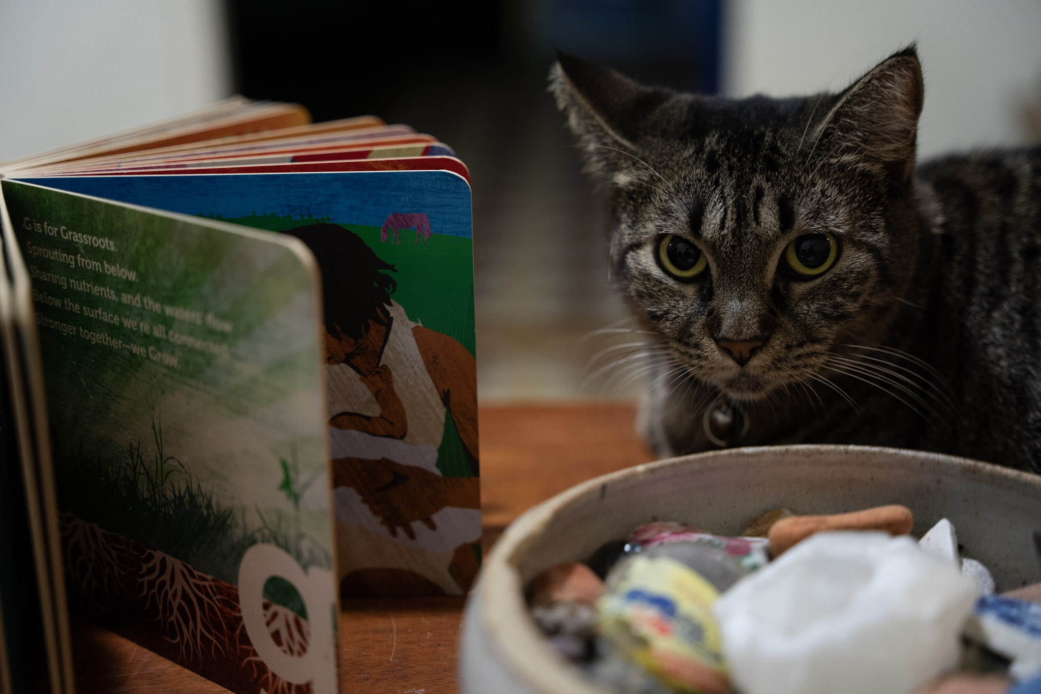 2021-12-20_Santa_Rita - foto 81