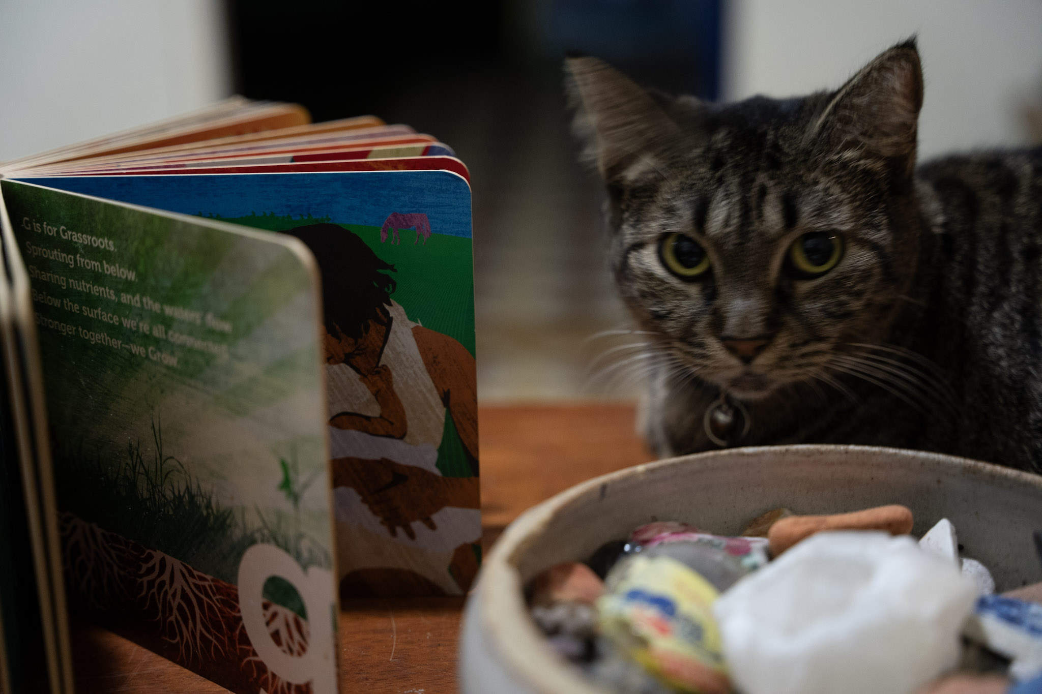 2021-12-20_Santa_Rita - foto 82