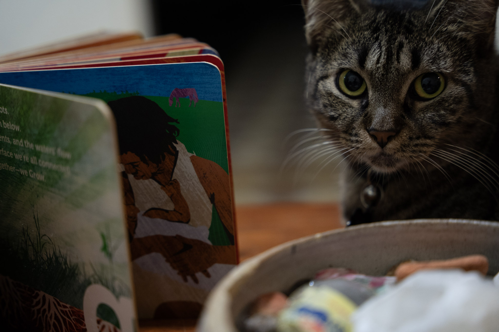 2021-12-20_Santa_Rita - foto 83