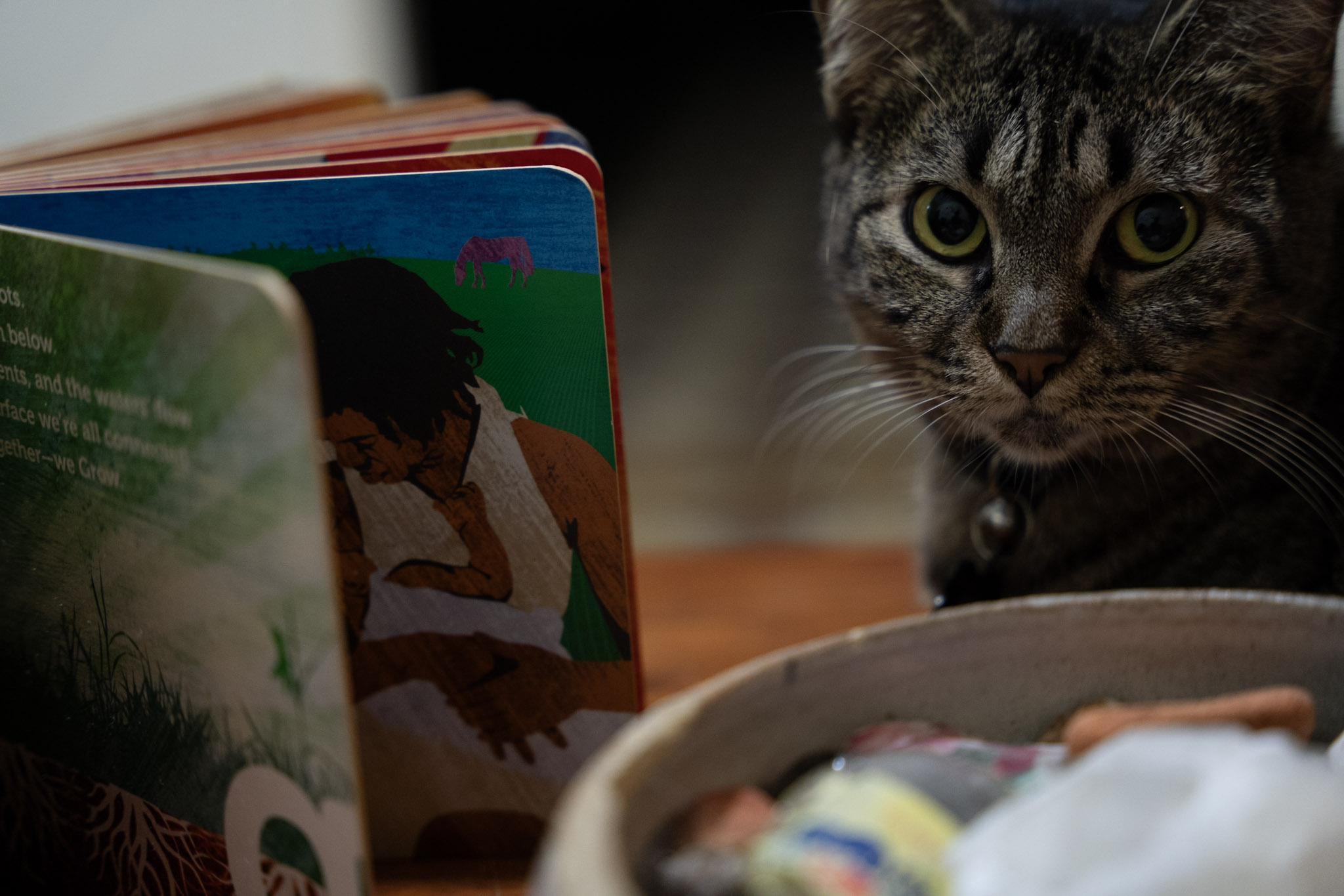 2021-12-20_Santa_Rita - foto 84