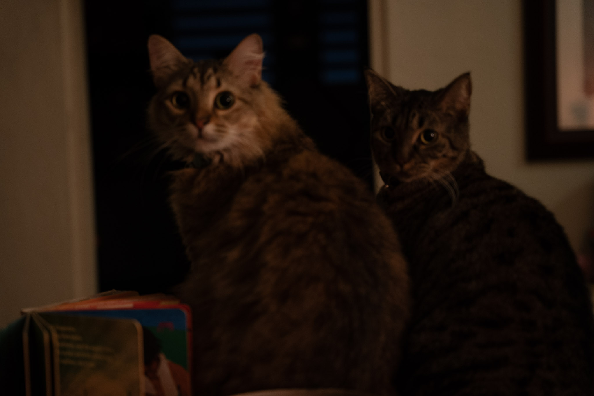 2021-12-20_Santa_Rita - foto 86