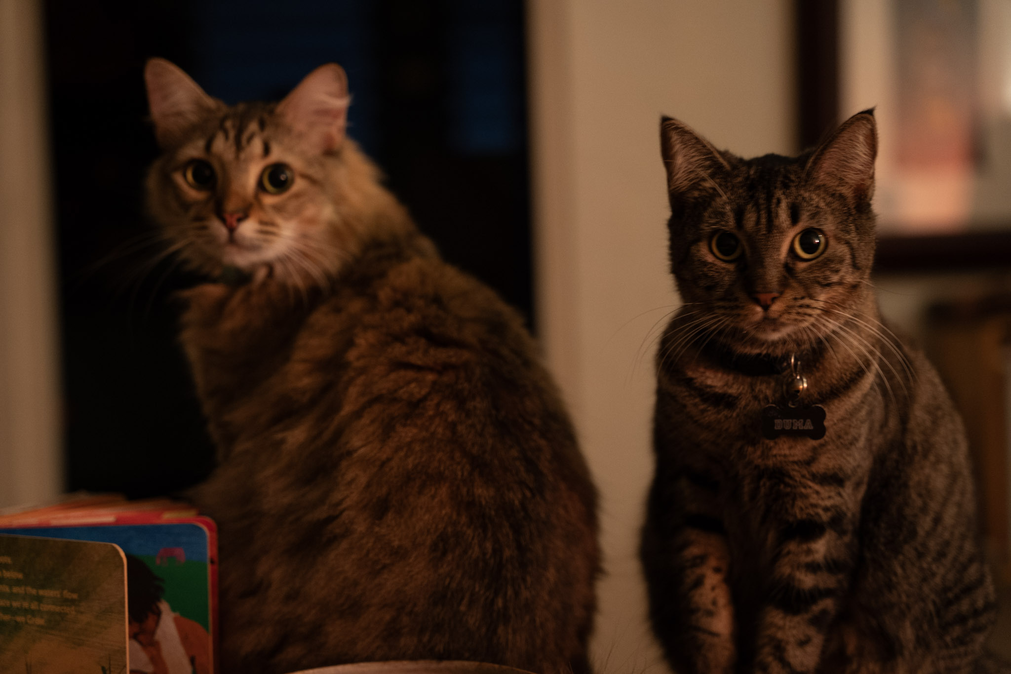 2021-12-20_Santa_Rita - foto 87