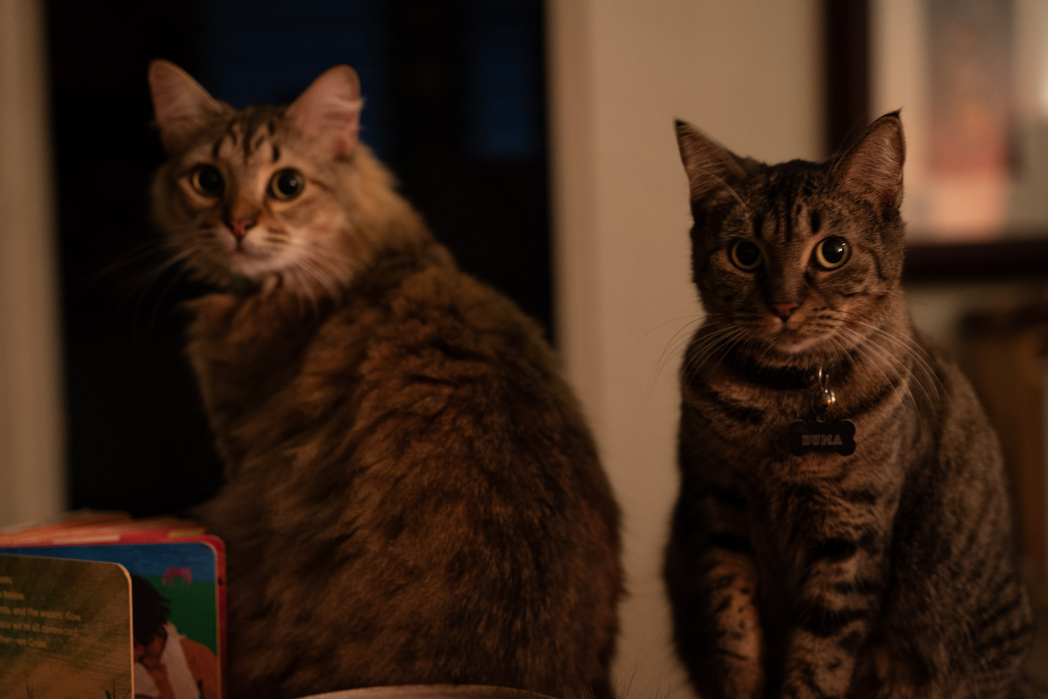 2021-12-20_Santa_Rita - foto 88