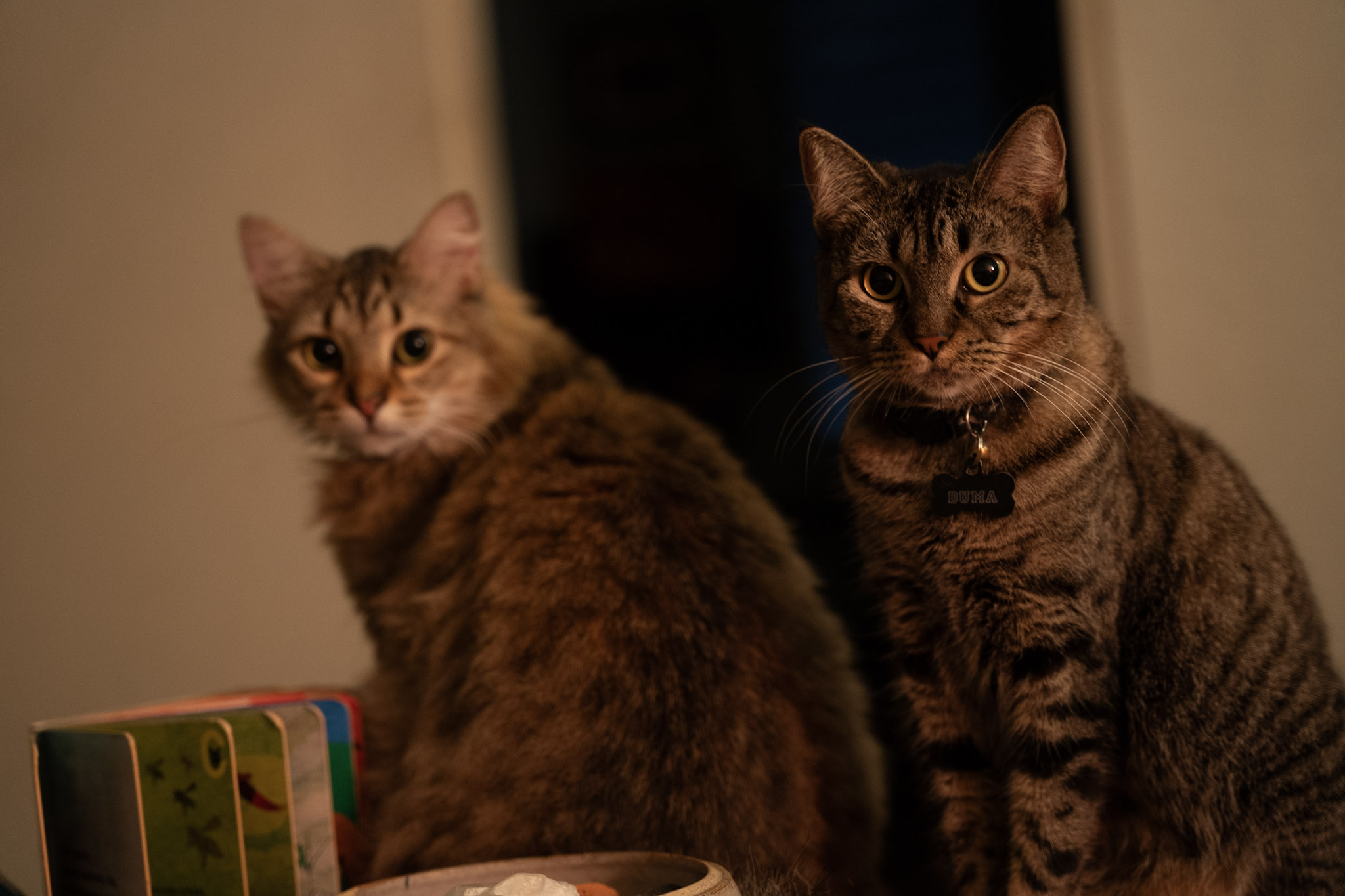 2021-12-20_Santa_Rita - foto 90