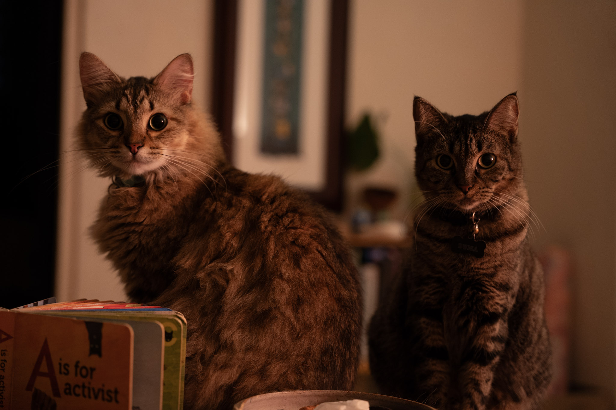 2021-12-20_Santa_Rita - foto 91