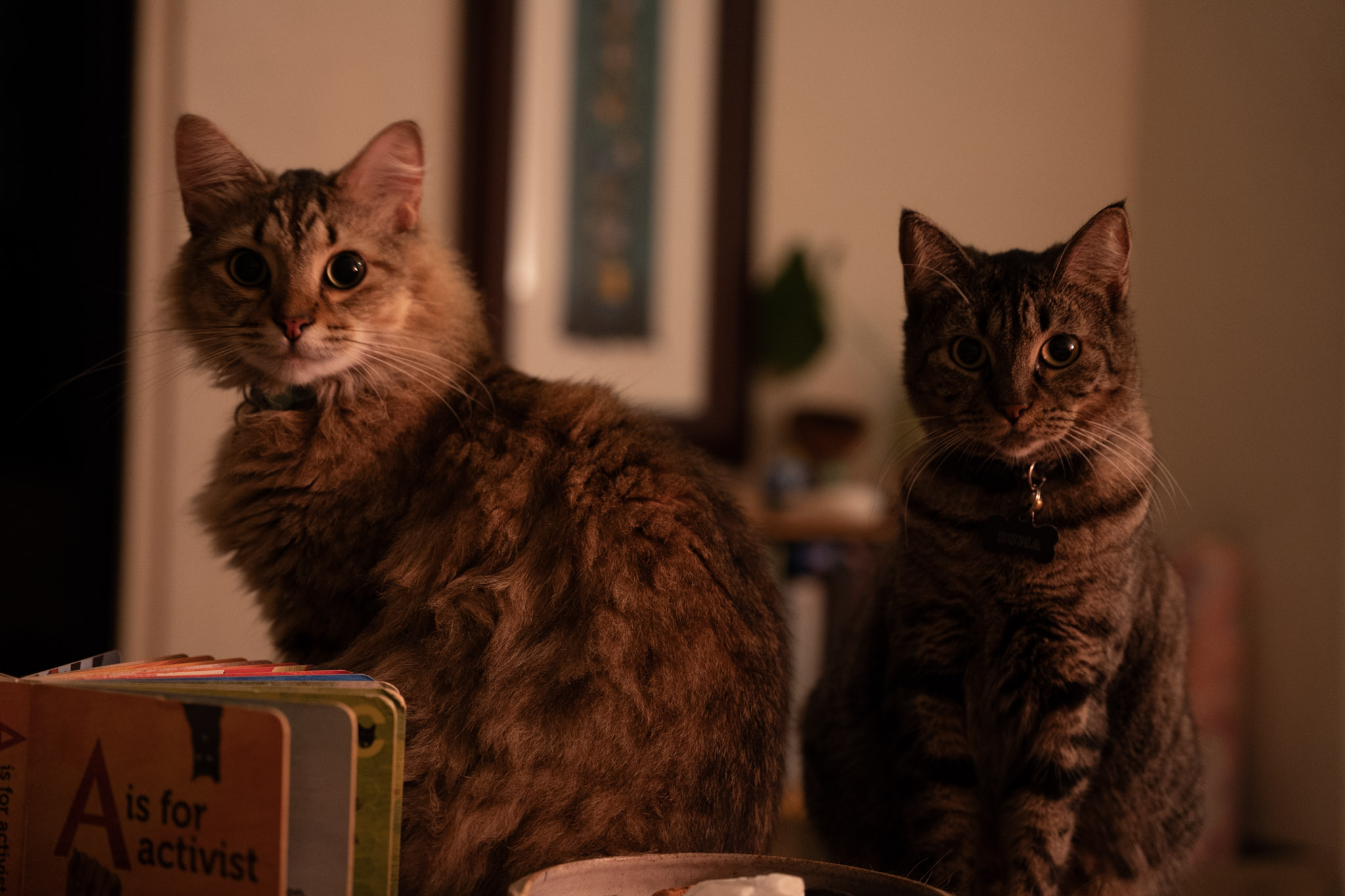 2021-12-20_Santa_Rita - foto 92