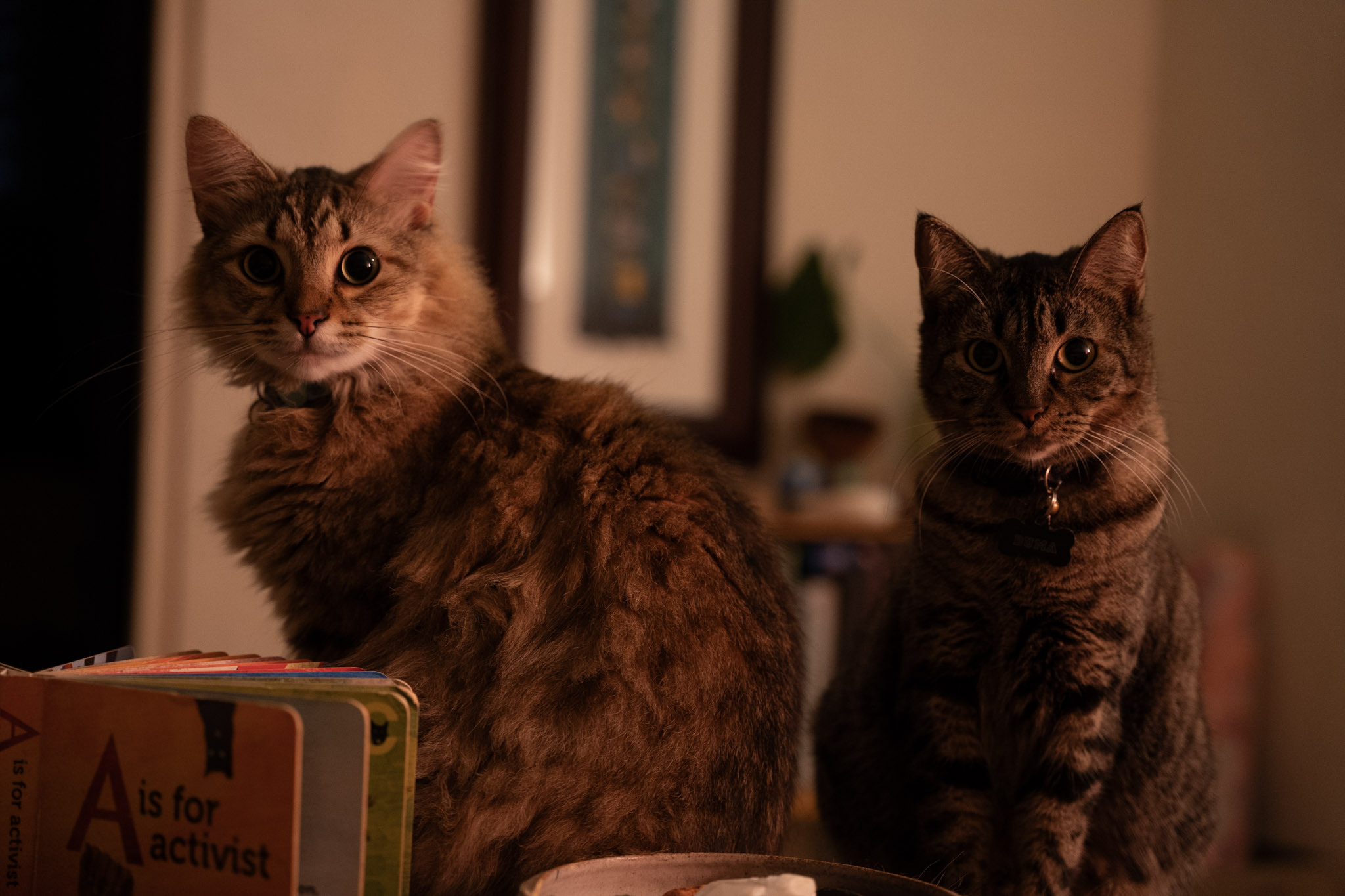 2021-12-20_Santa_Rita - foto 94