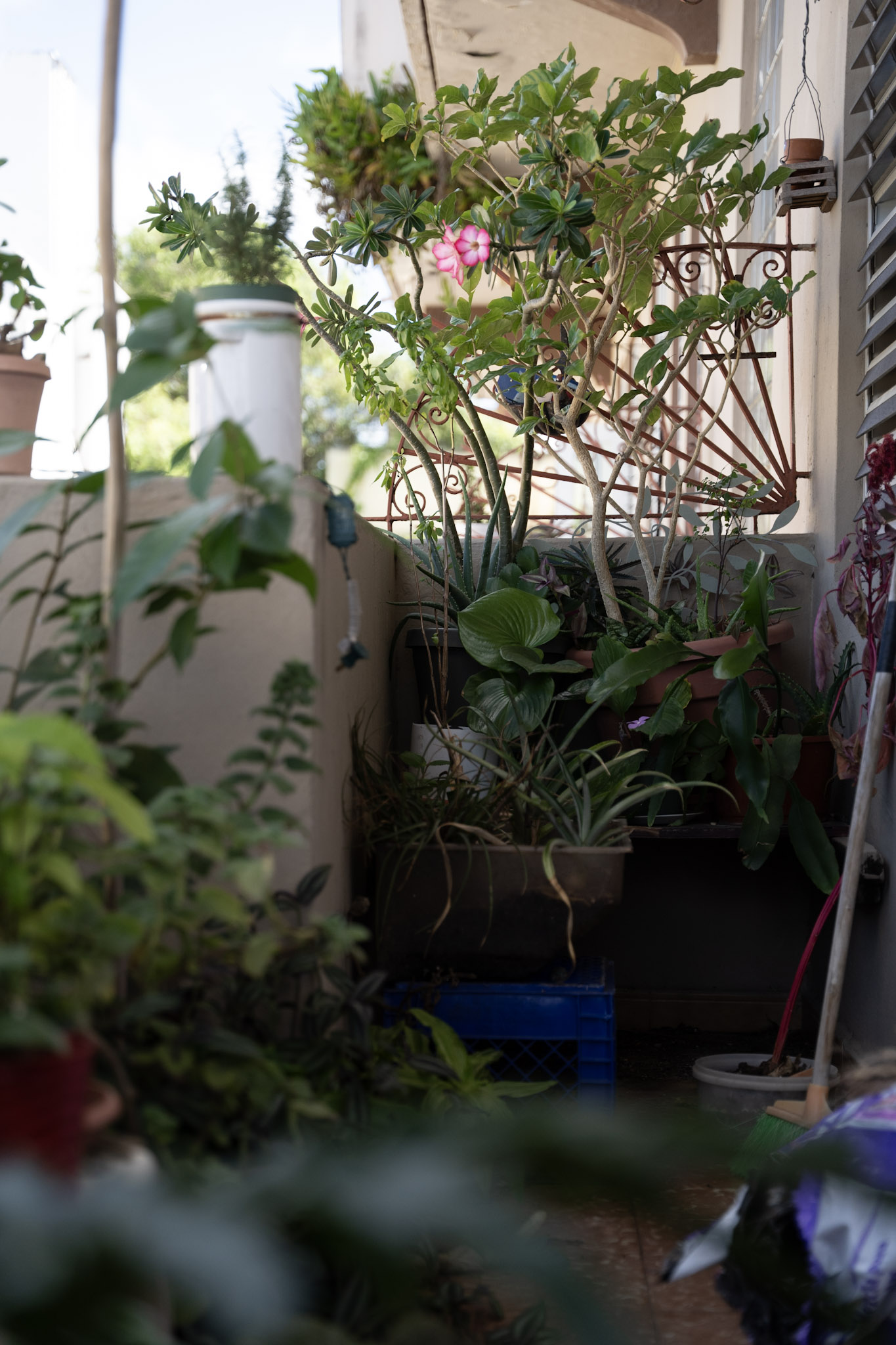 2021-12-20_Santa_Rita - foto 95