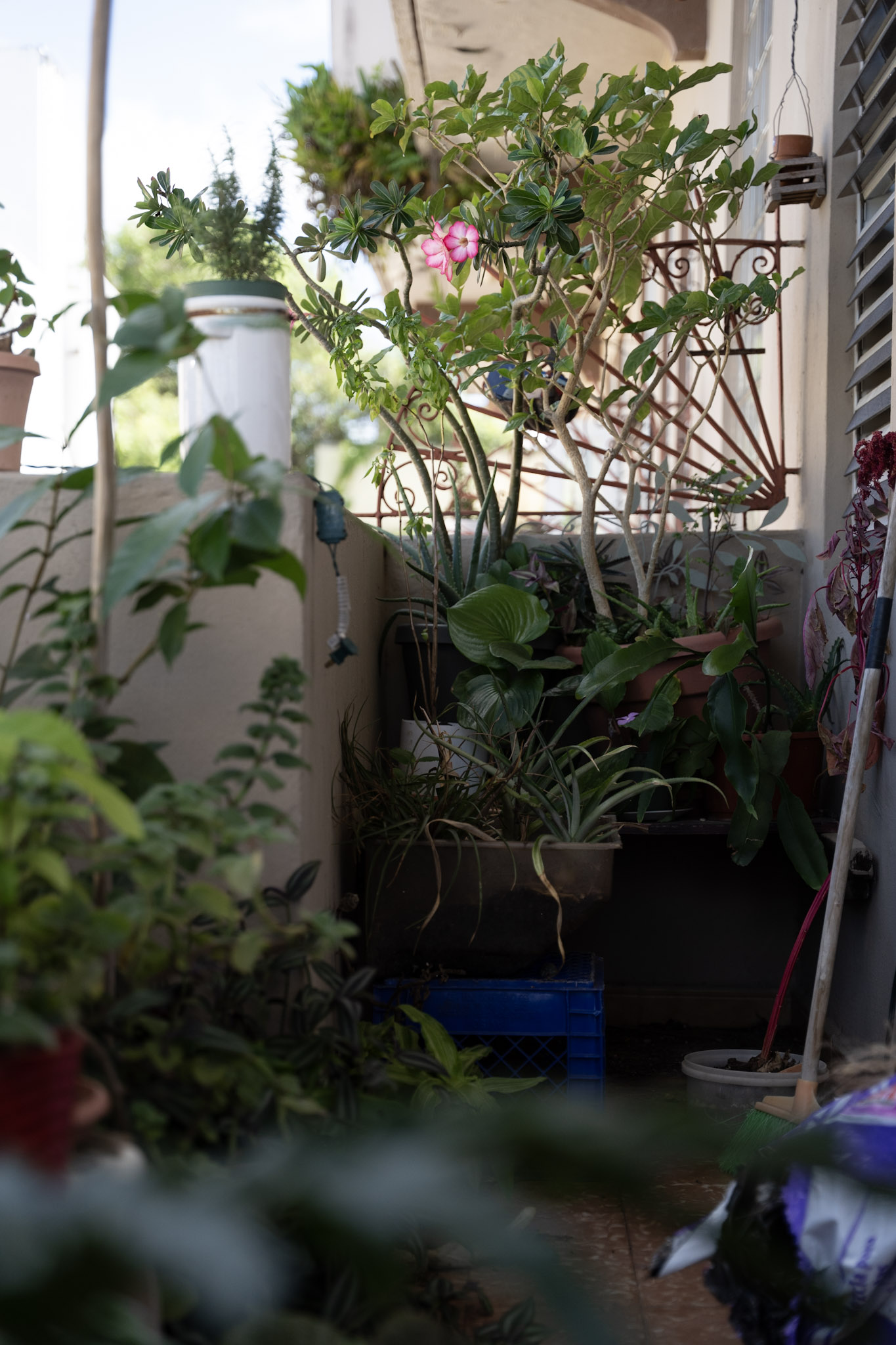 2021-12-20_Santa_Rita - foto 97