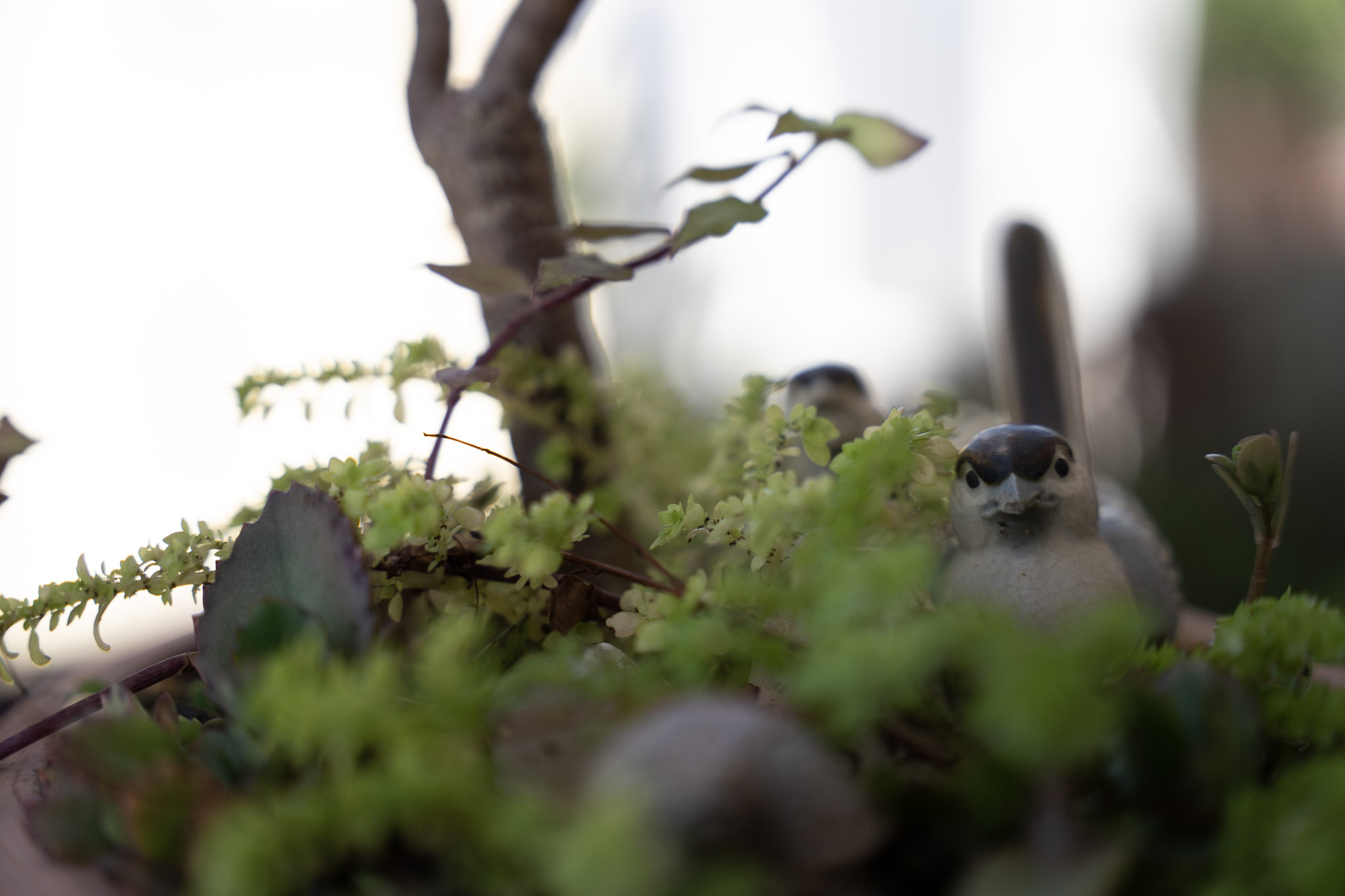 2021-12-20_Santa_Rita - foto 98