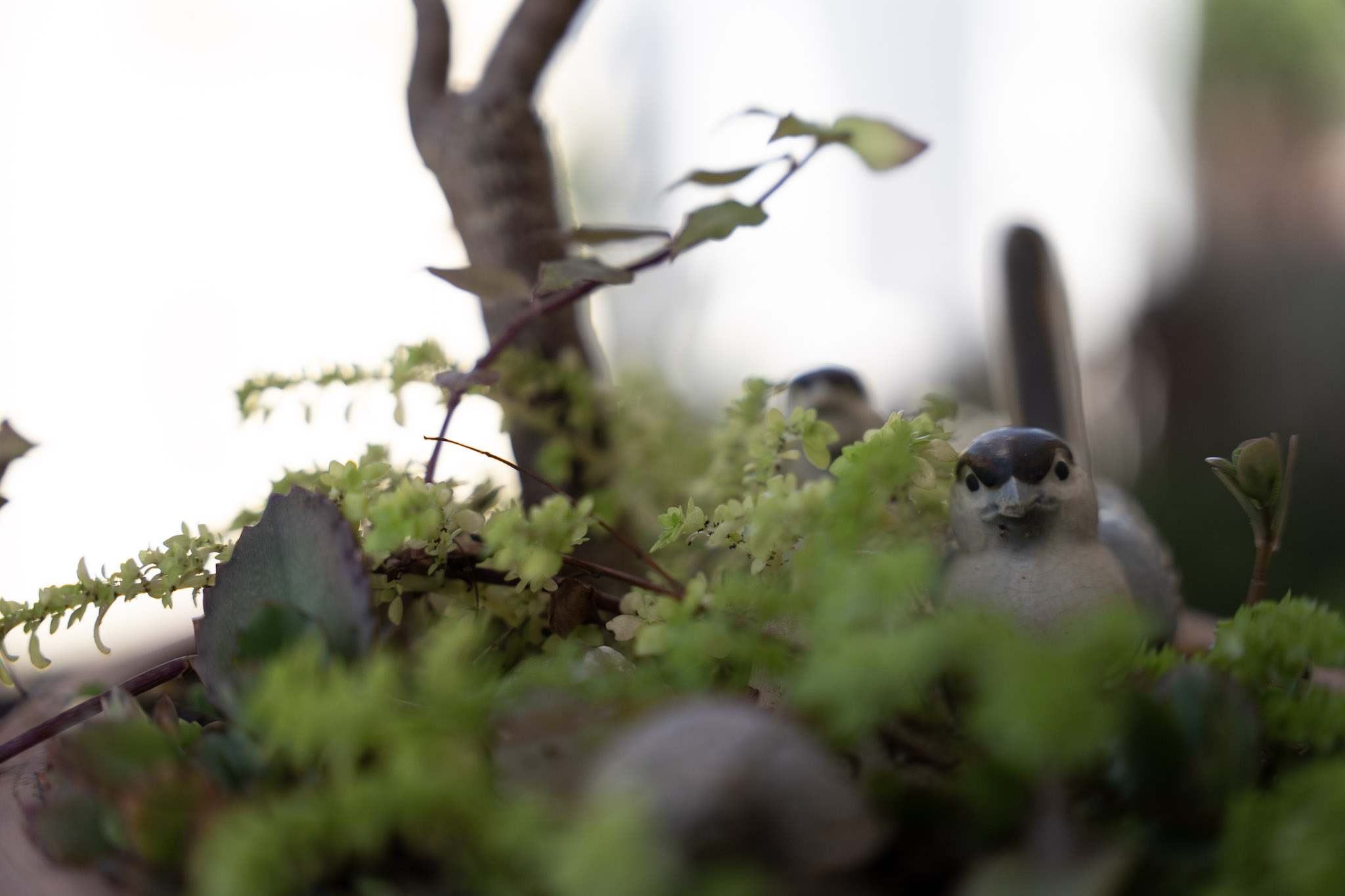 2021-12-20_Santa_Rita - foto 99