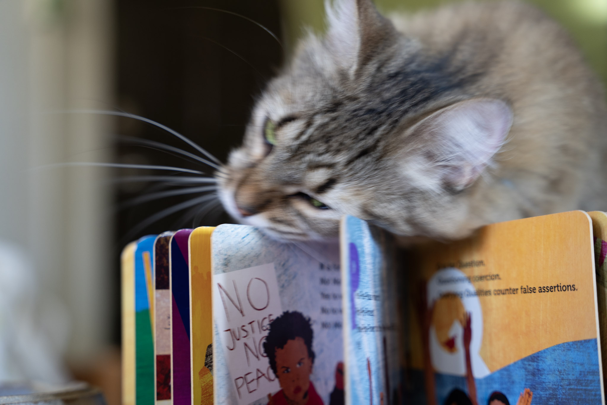 2021-12-20_Santa_Rita - foto 103