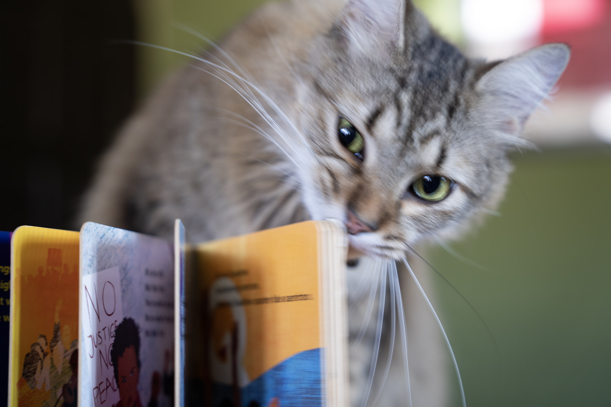 2021-12-20_Santa_Rita - foto 104