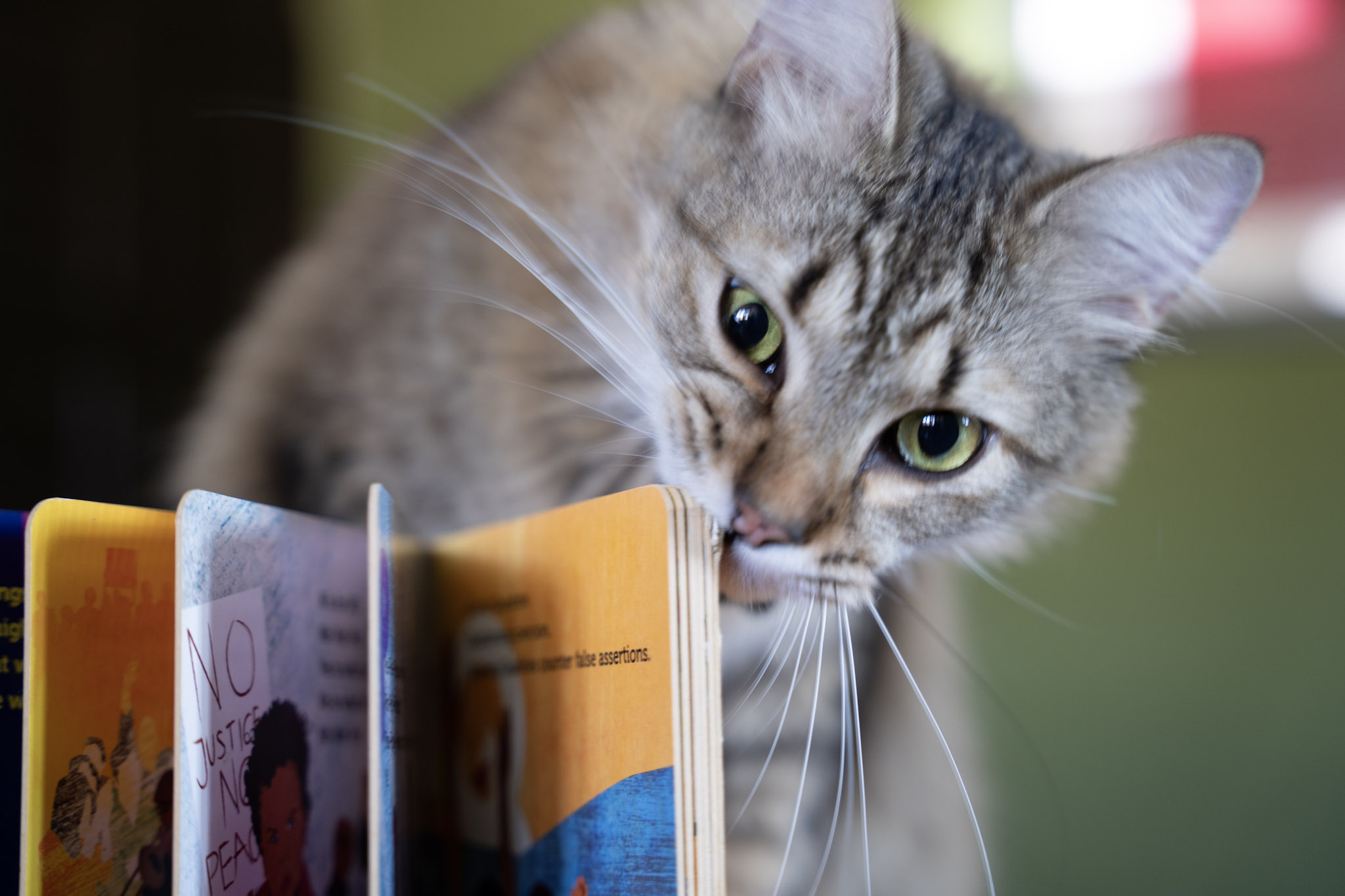 2021-12-20_Santa_Rita - foto 105