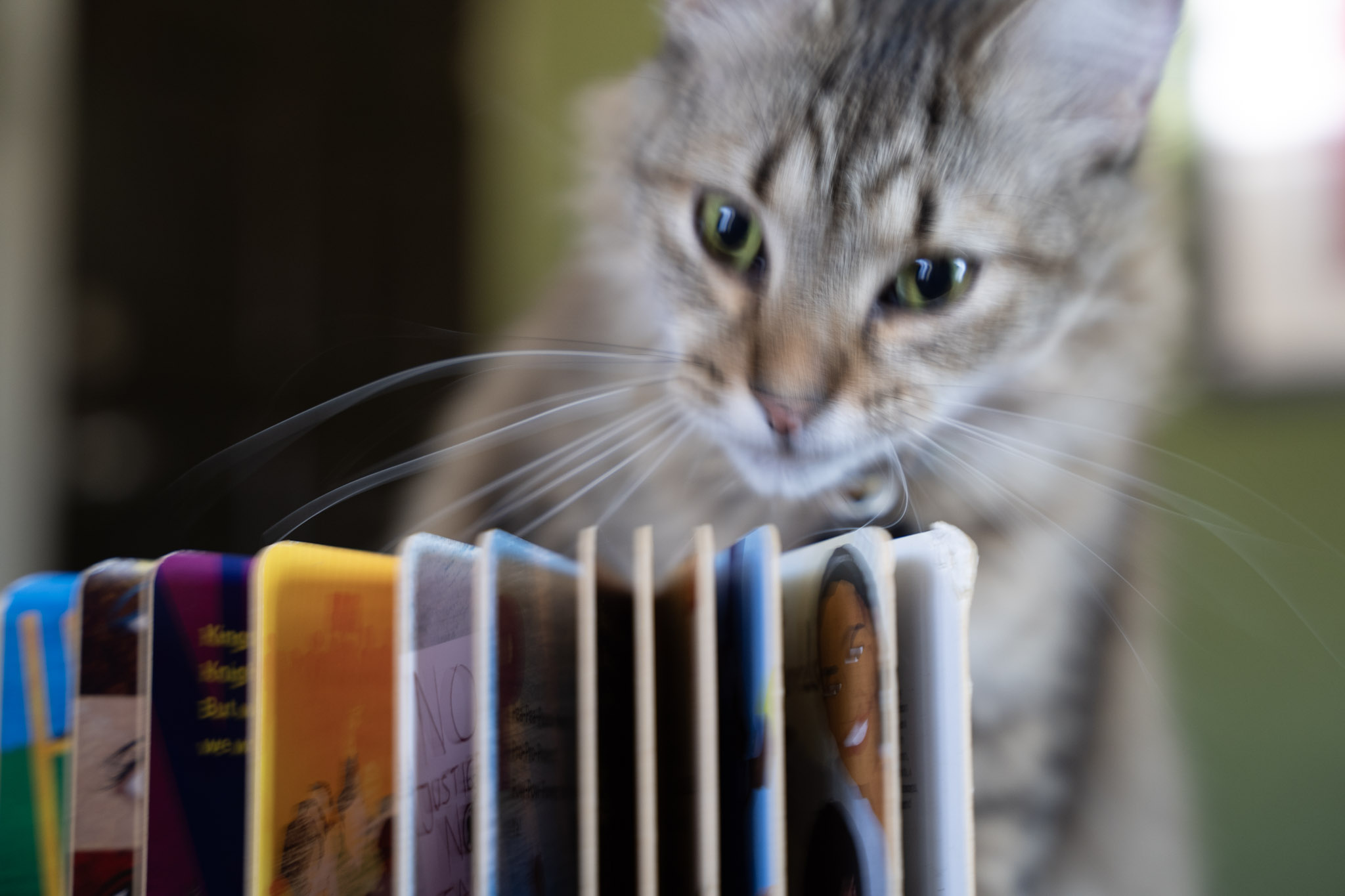 2021-12-20_Santa_Rita - foto 106