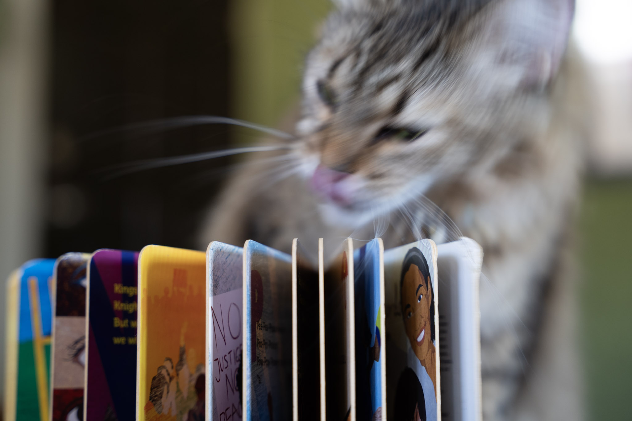 2021-12-20_Santa_Rita - foto 107