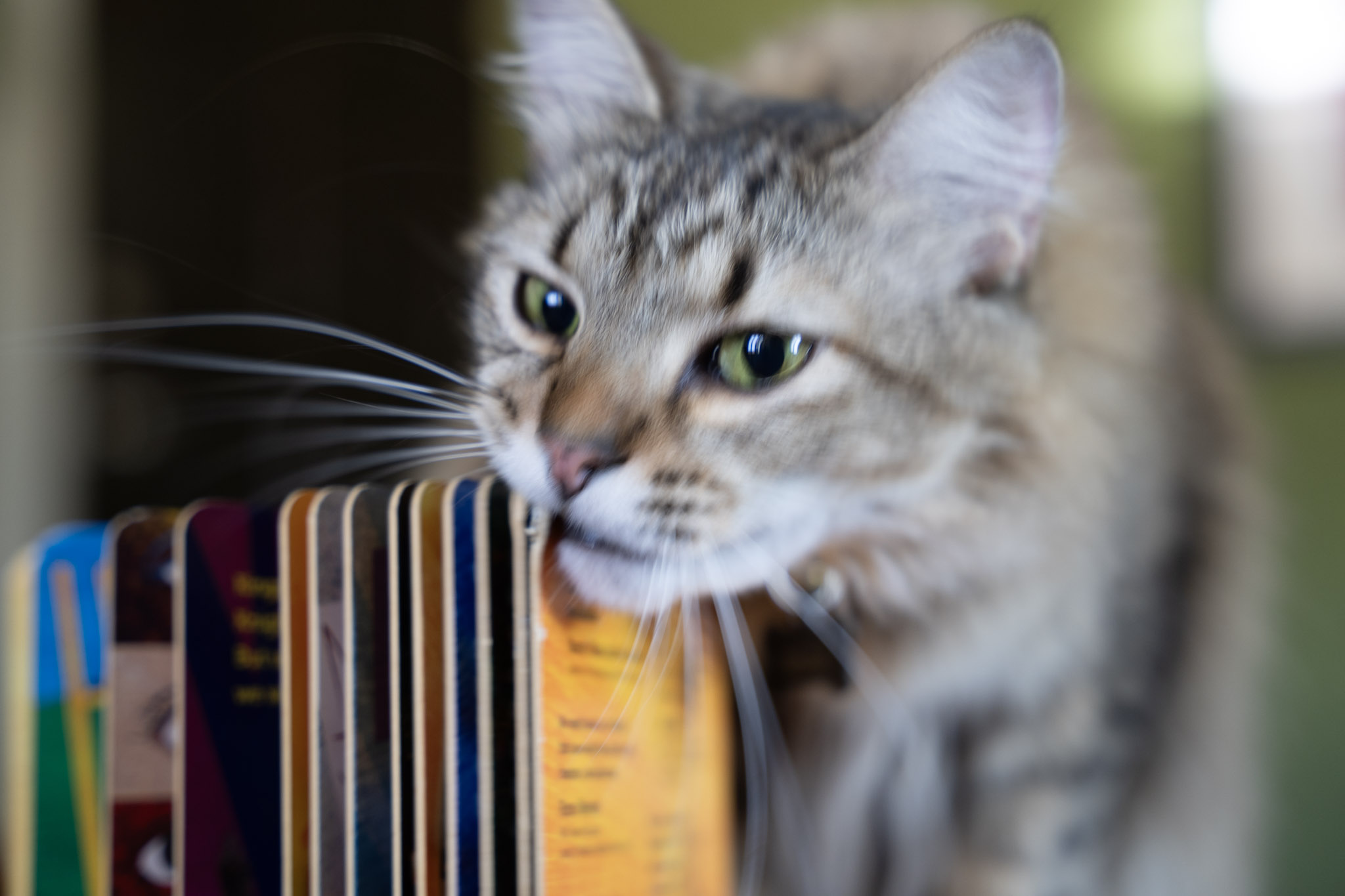 2021-12-20_Santa_Rita - foto 108