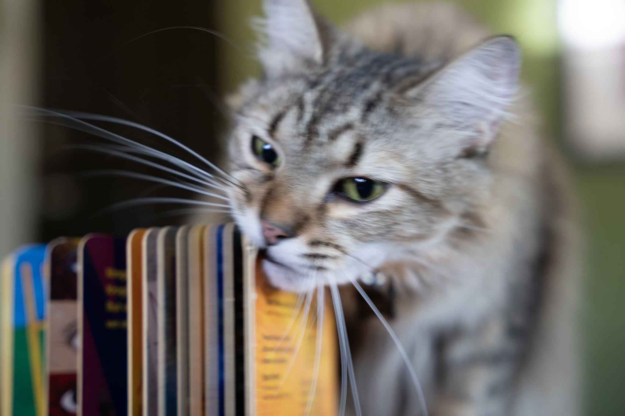 2021-12-20_Santa_Rita - foto 109