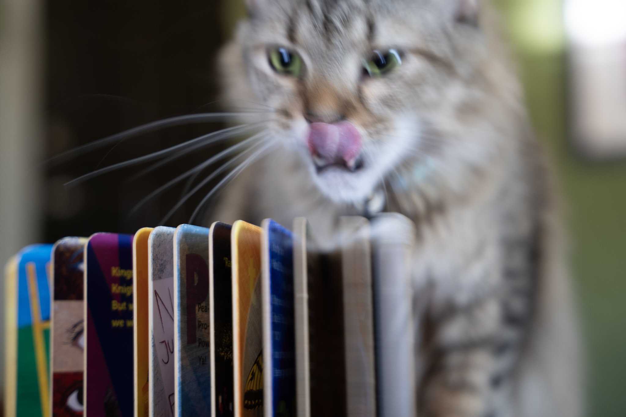 2021-12-20_Santa_Rita - foto 110